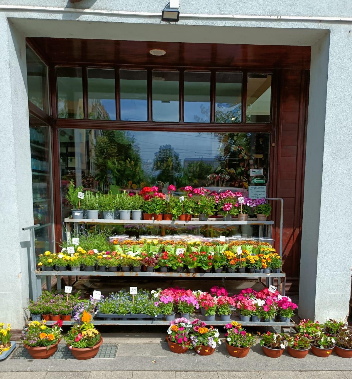 Květiny Olšany - Pavel Šticha foto 4