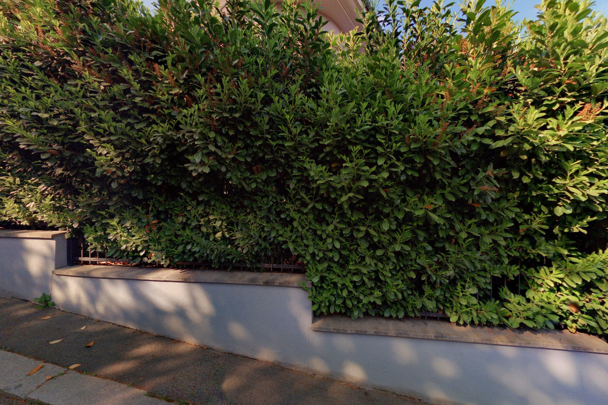 JUDr. Iveta Hodková, CSc.