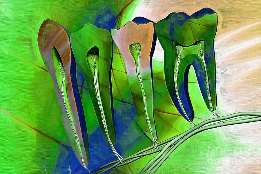 David Valčík,DiS. - zubní laboratoř Valadent foto 1