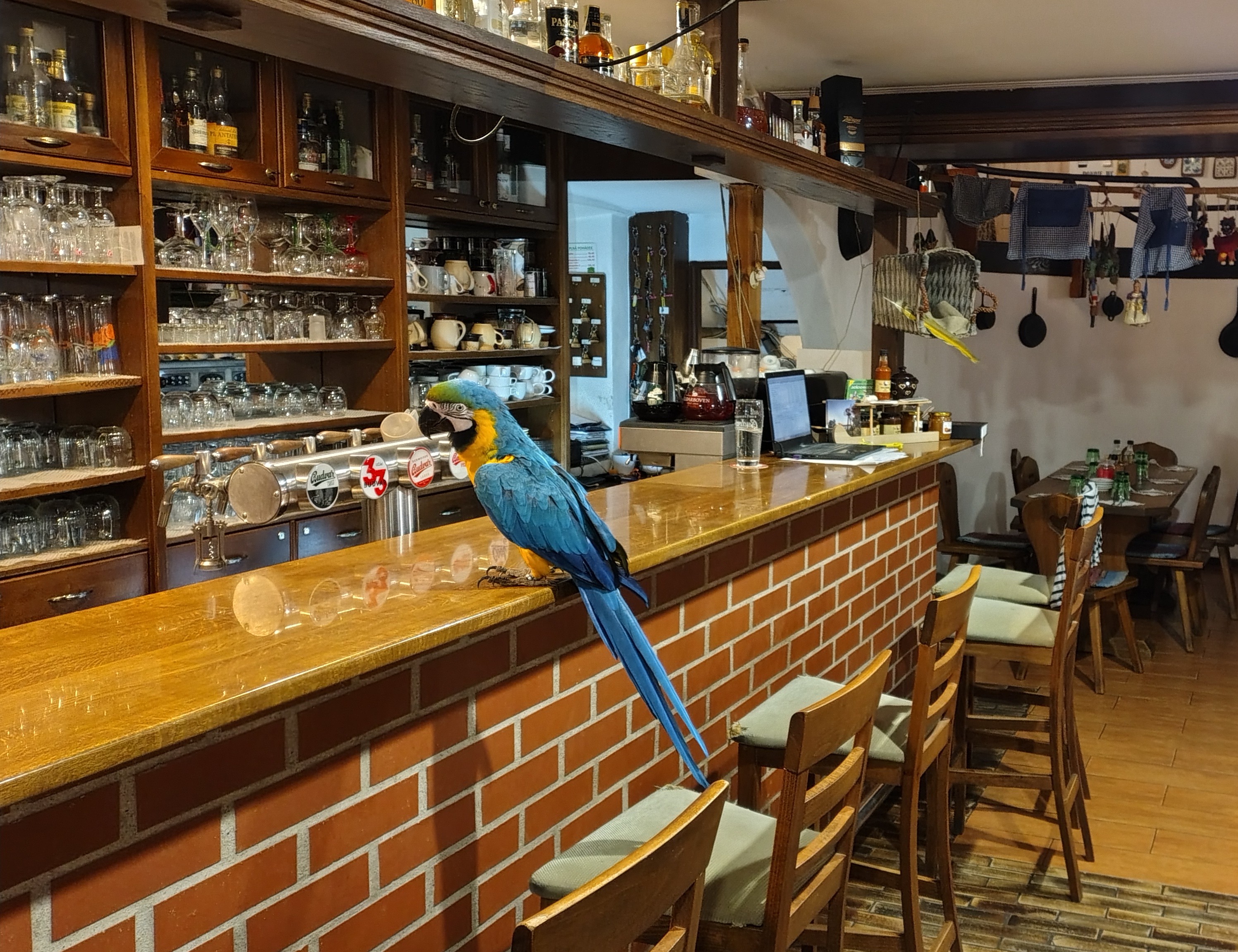 Restaurace Borovanský mlýn foto 2