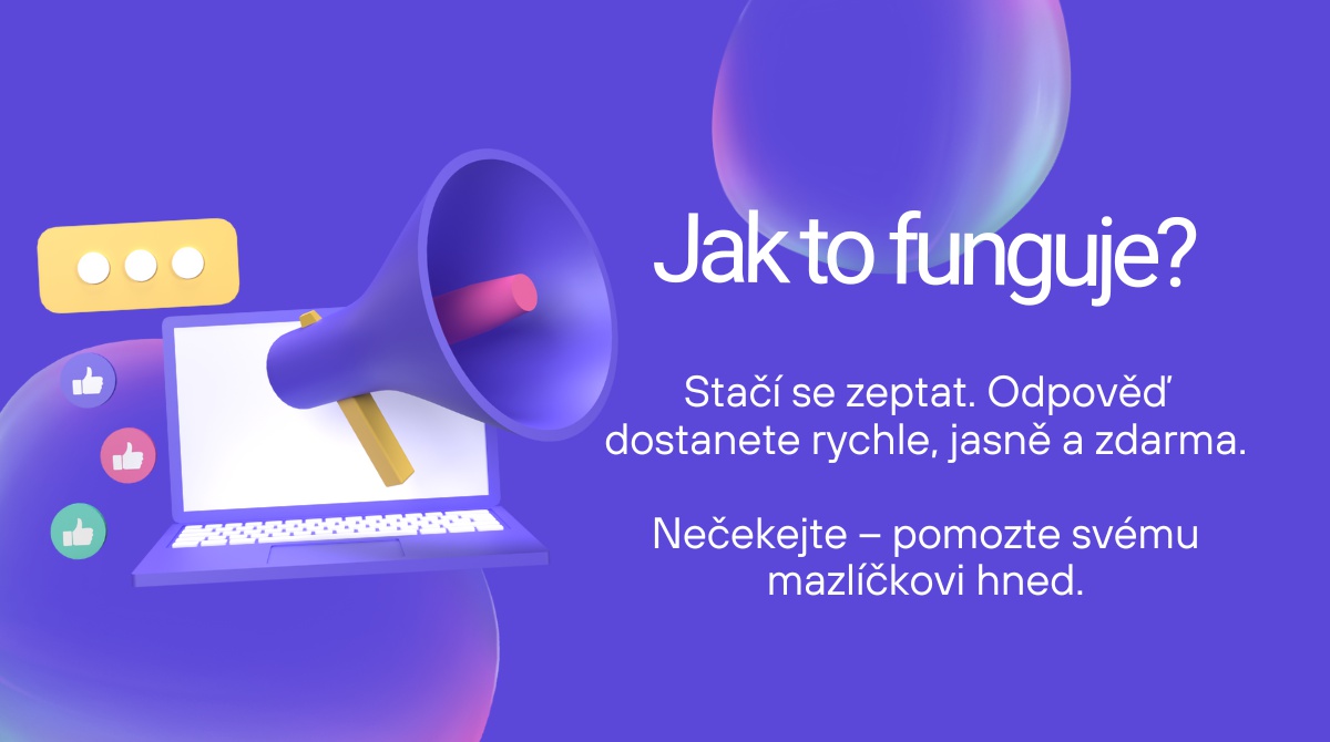 comuje.cz foto 2
