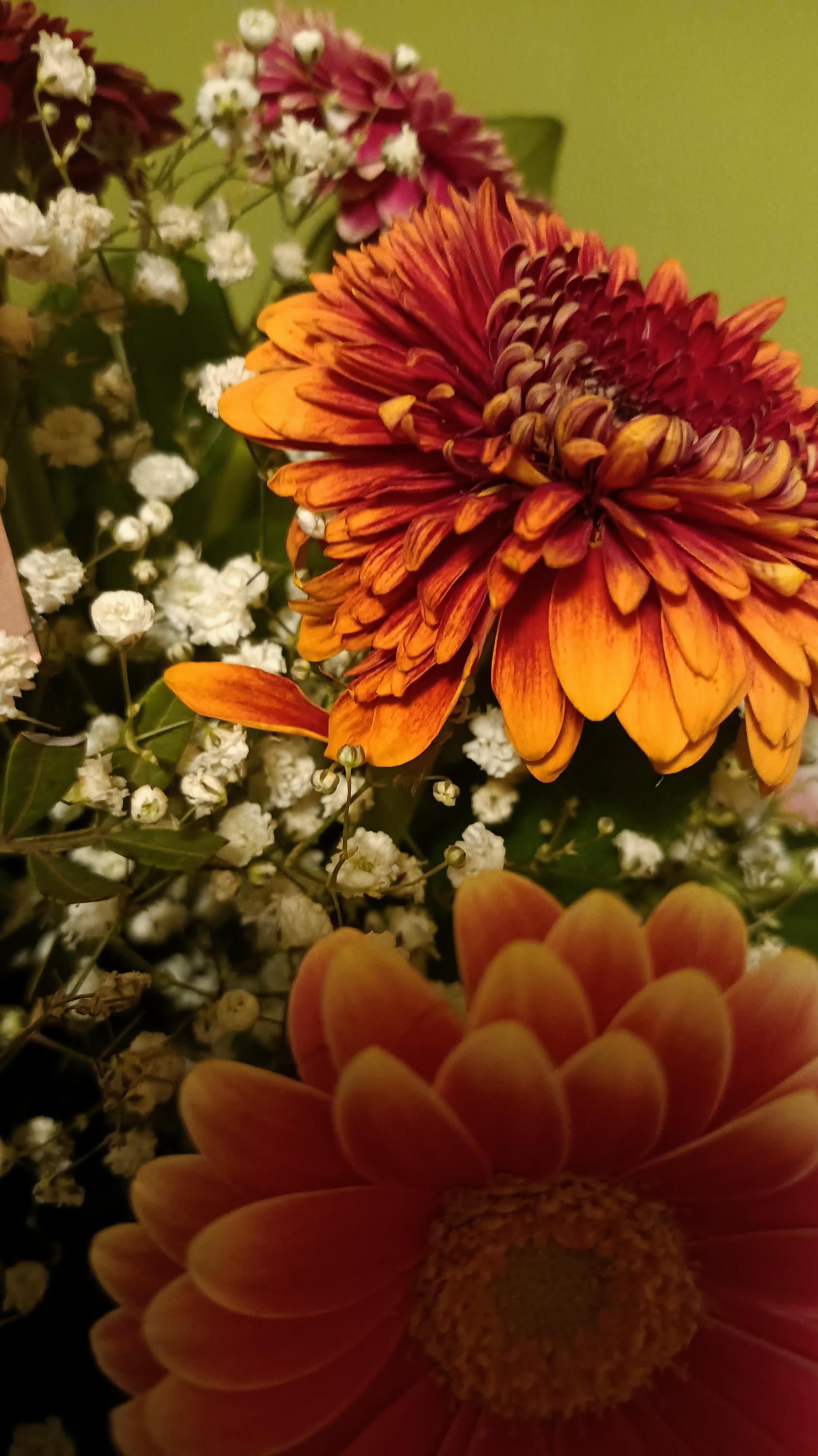 Květinové studio Petronila foto 3