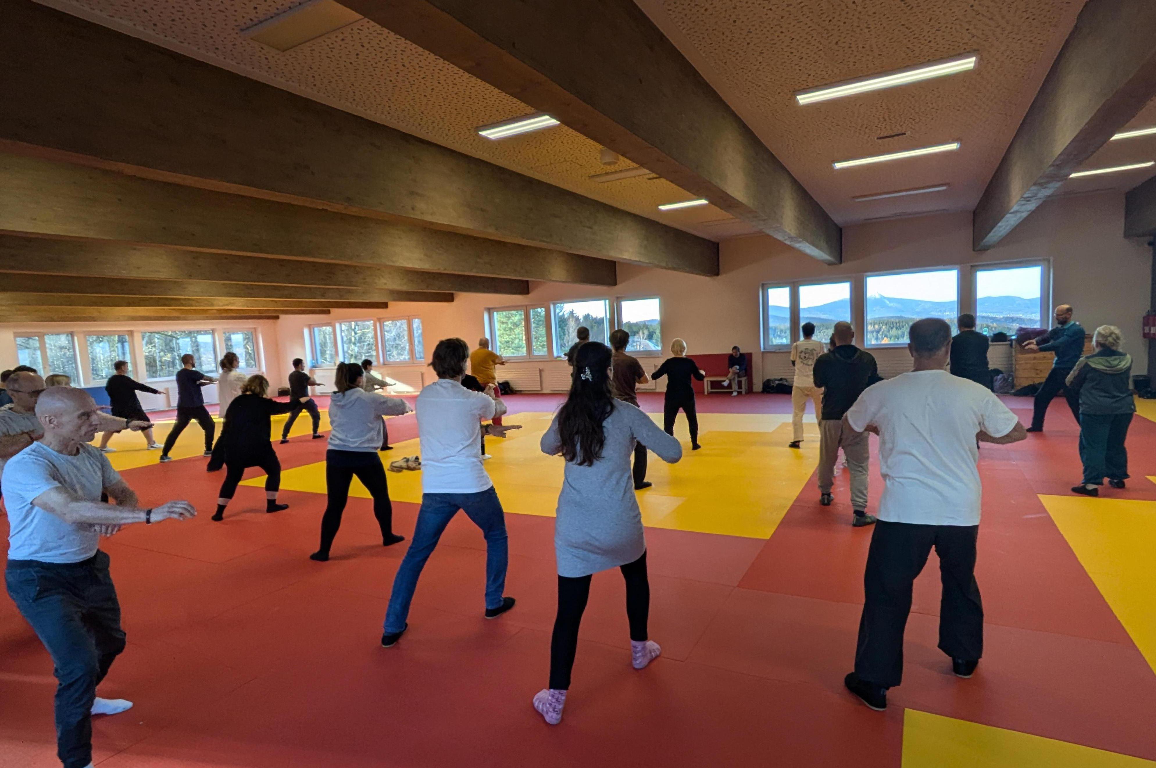 Nei Gong - Taichi Chuan a Bagua Zhang