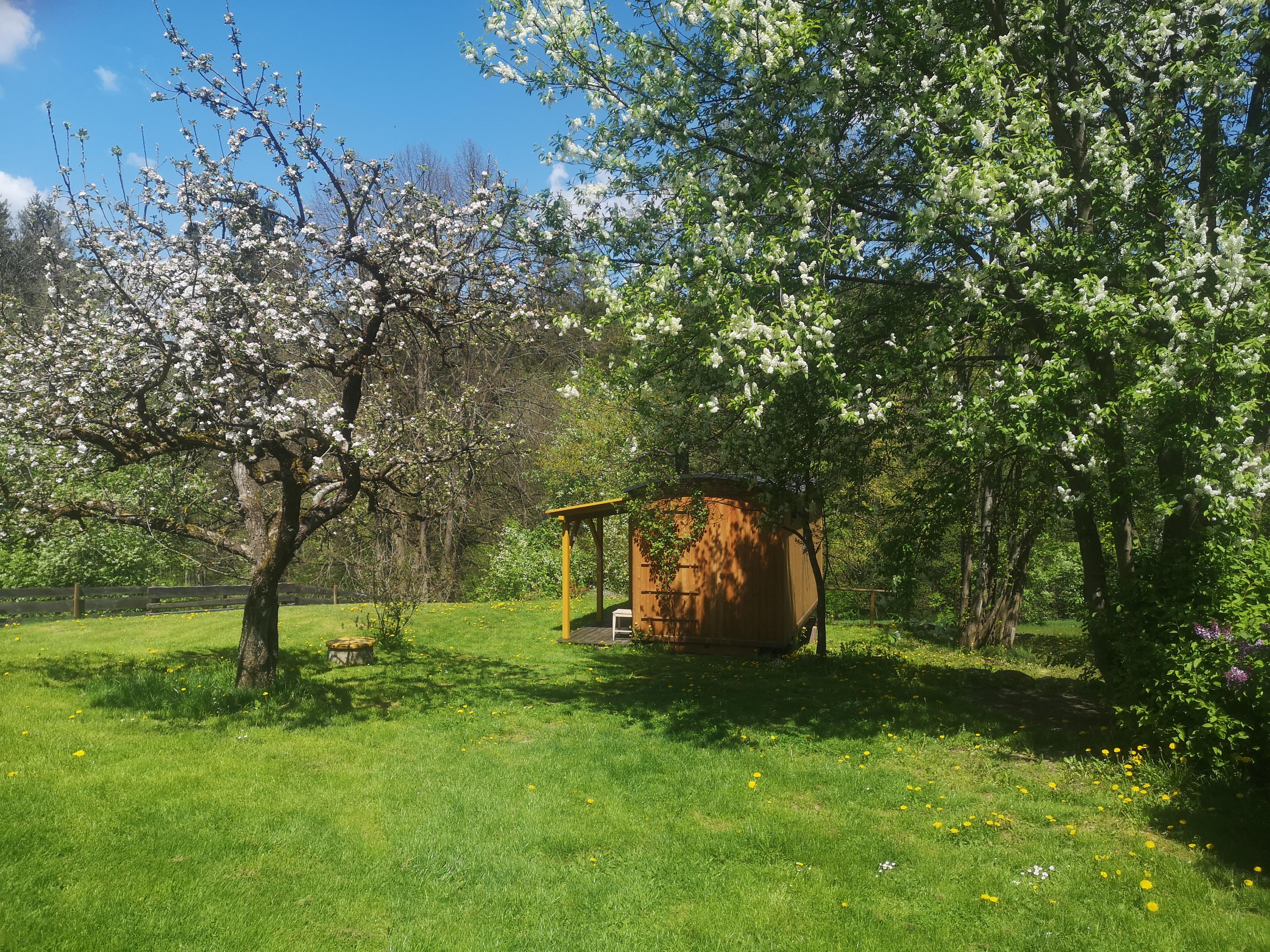 Maringotka k pronájmu foto 2