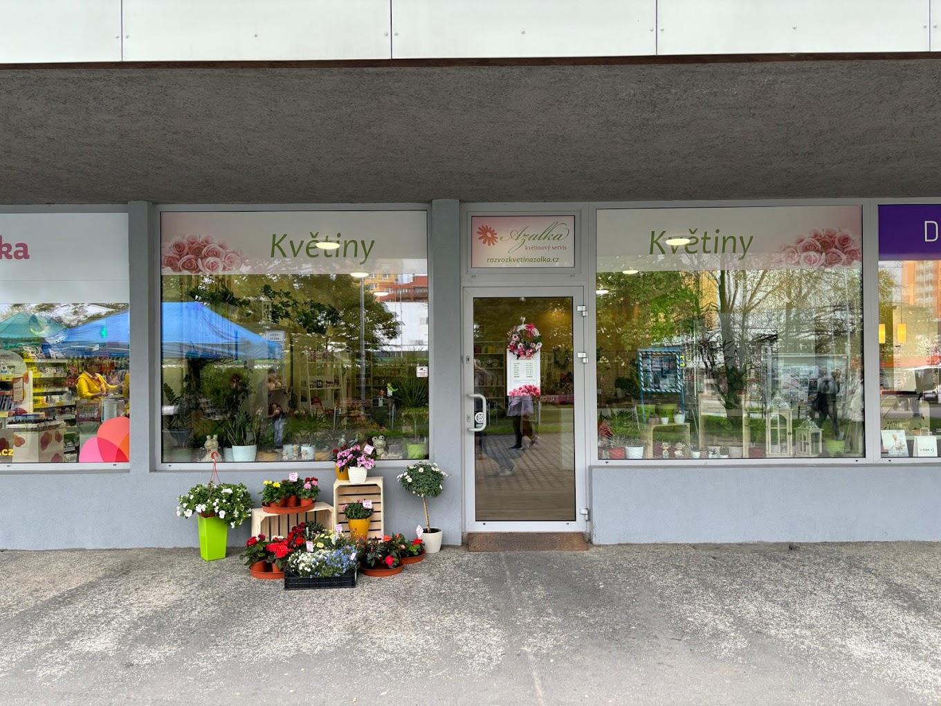 Květinový servis Azalka foto 4