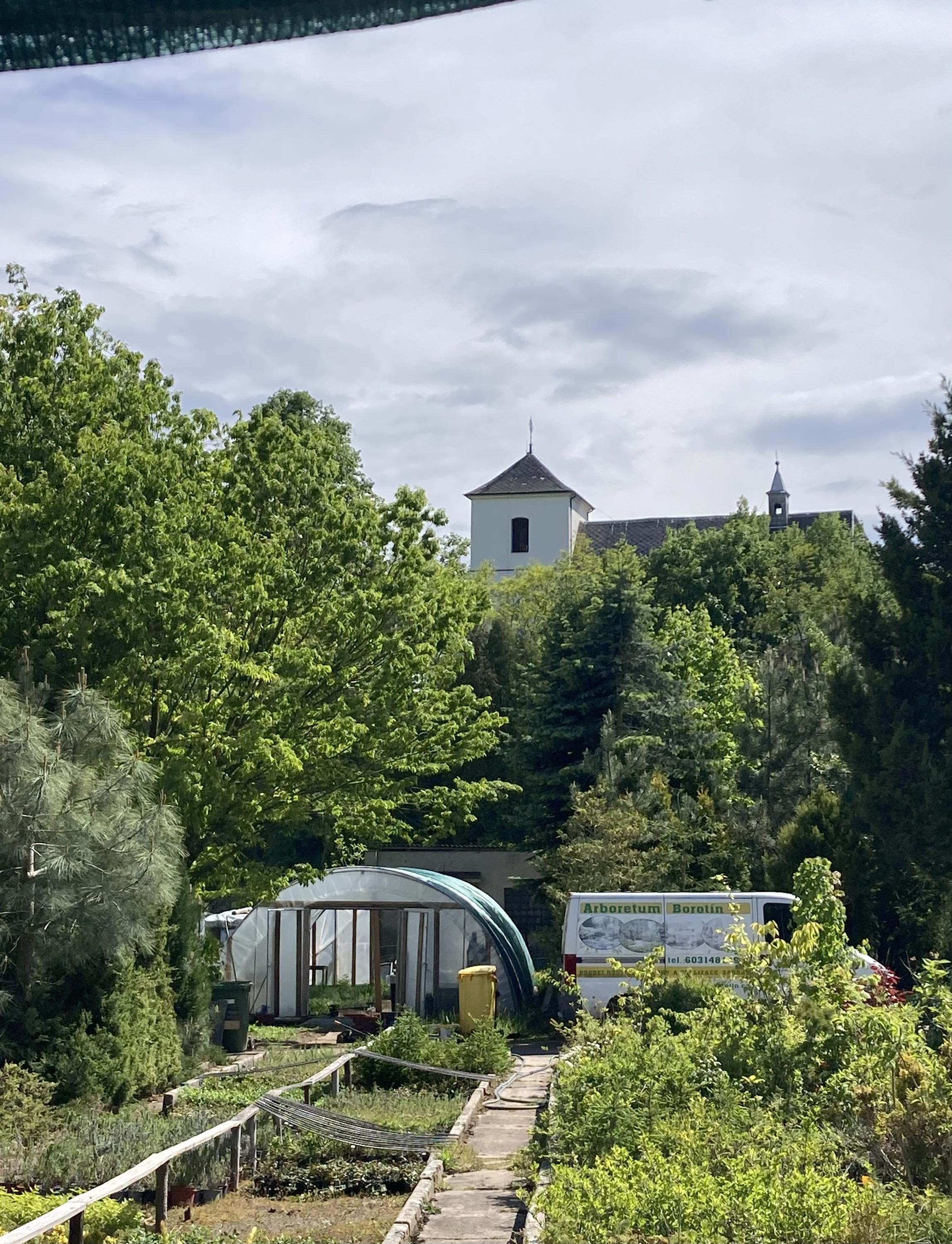 Zahradnictví SAK František Chlup foto 6
