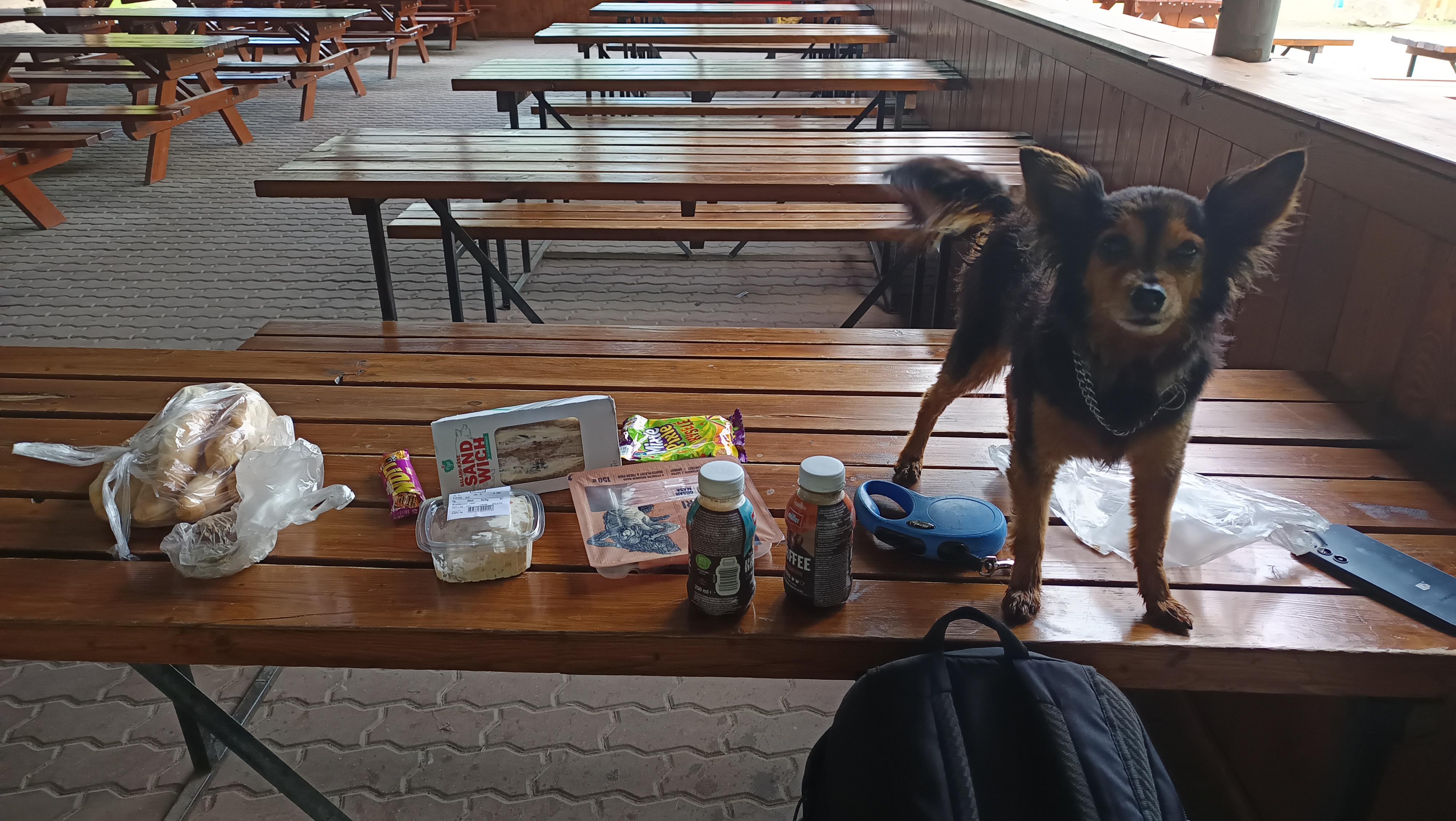 Kemp Krumlov - občerstvení foto 2