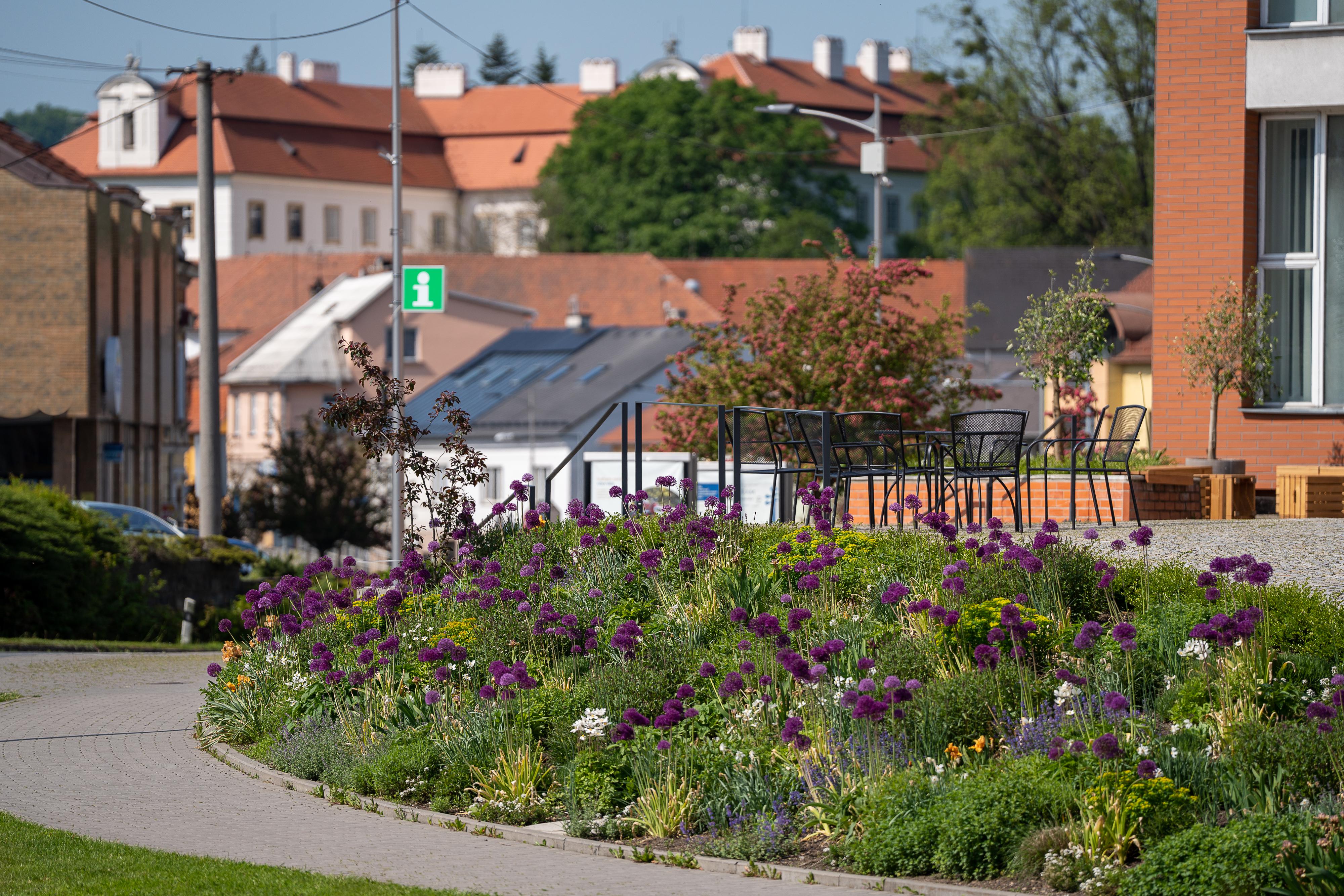 Turistické informační centrum Vizovice foto 5