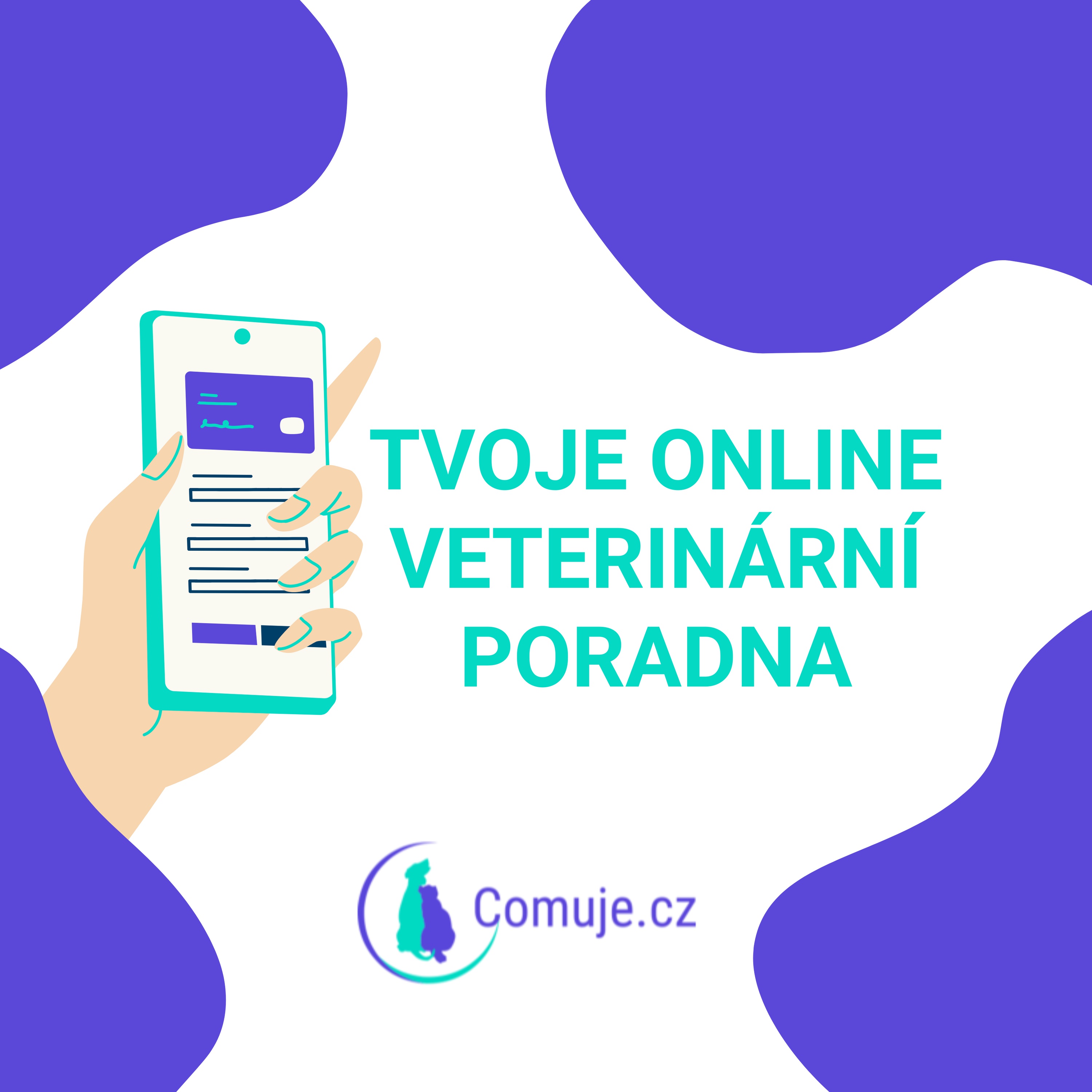 comuje.cz foto 4