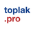 logo Ing. Iztok Toplak, MBA