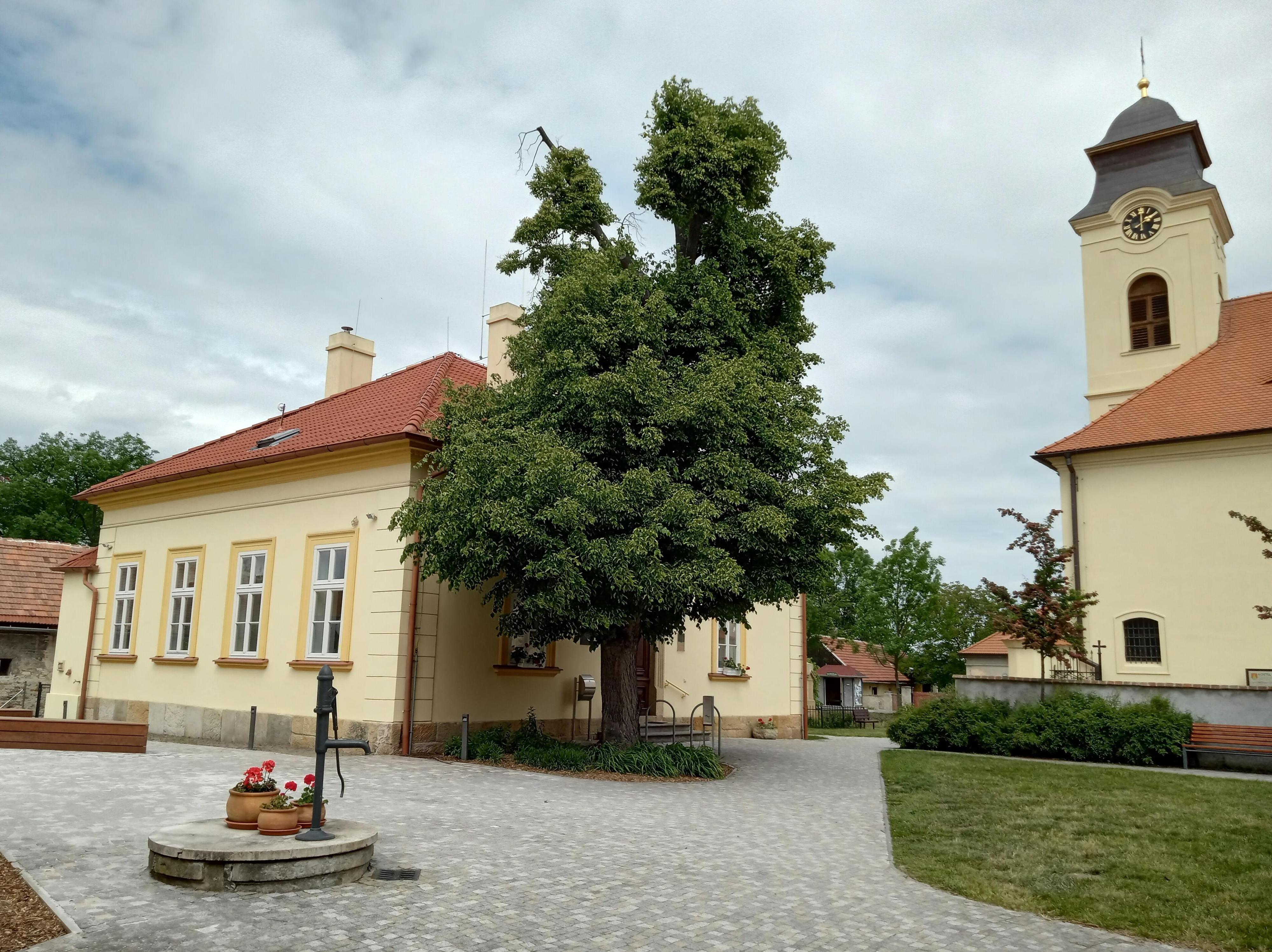 Kostelní Lhota - obecní úřad foto 3