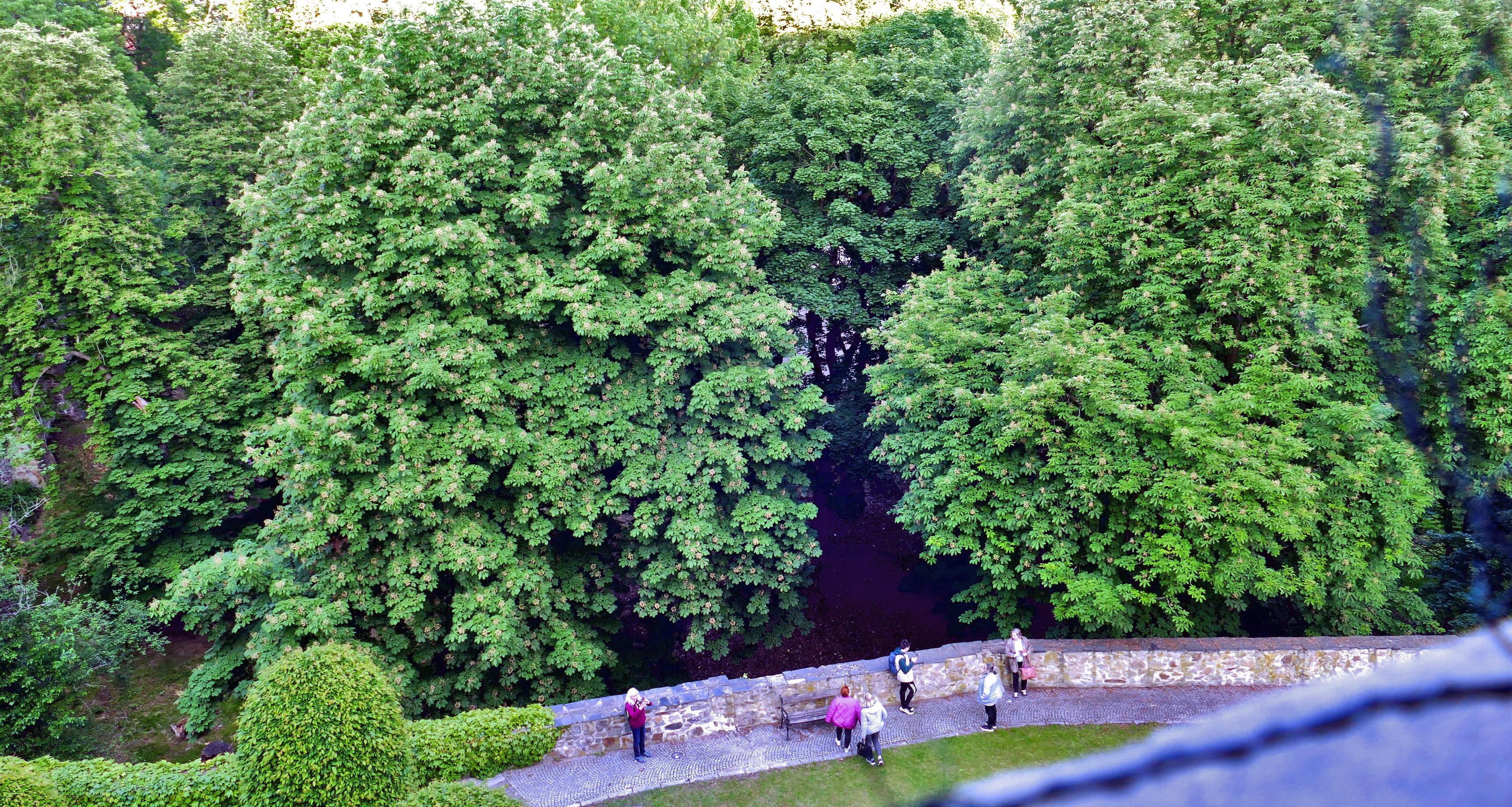 Umělecké centrum UP - Parkán foto 2