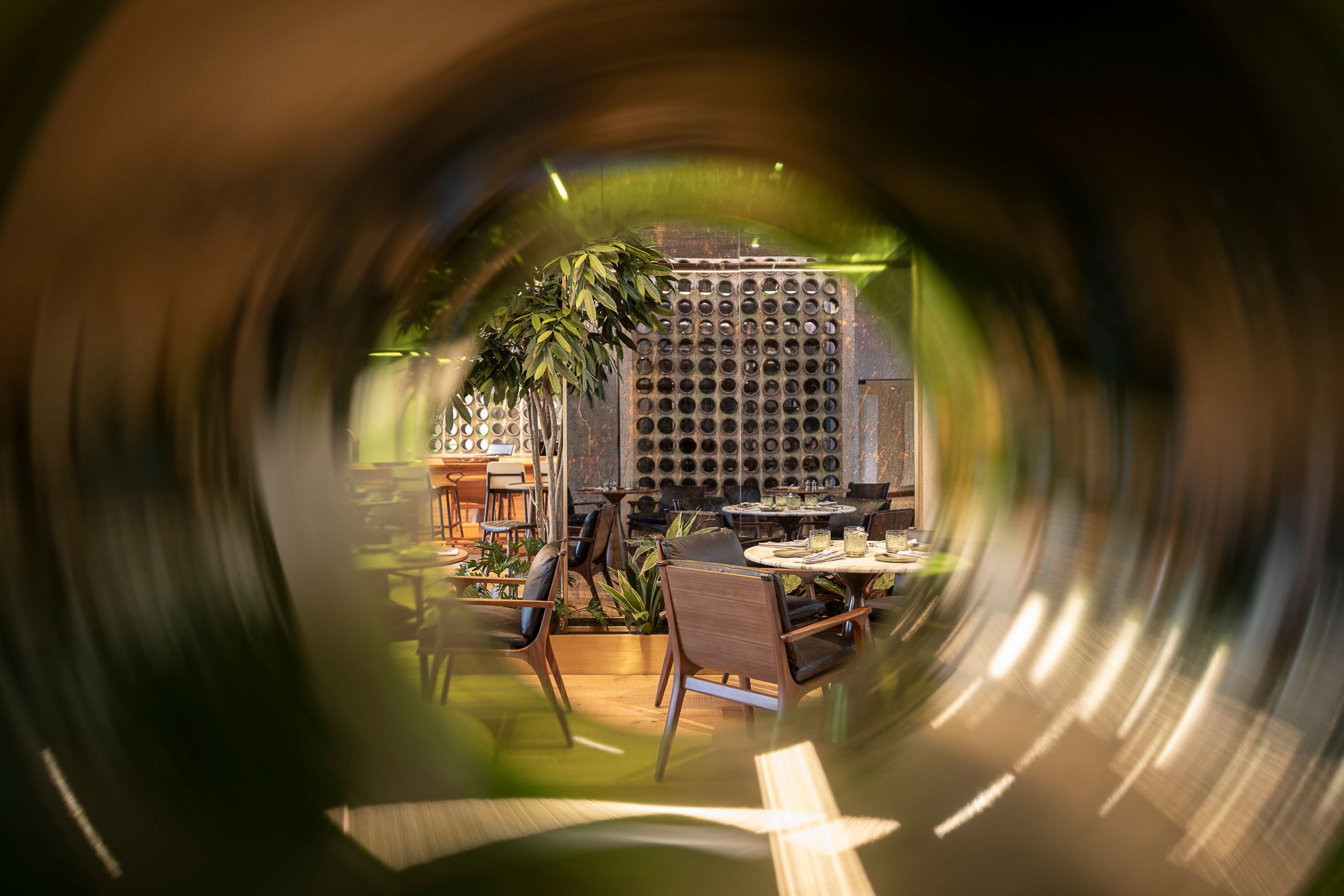 Greenhouse foto 6