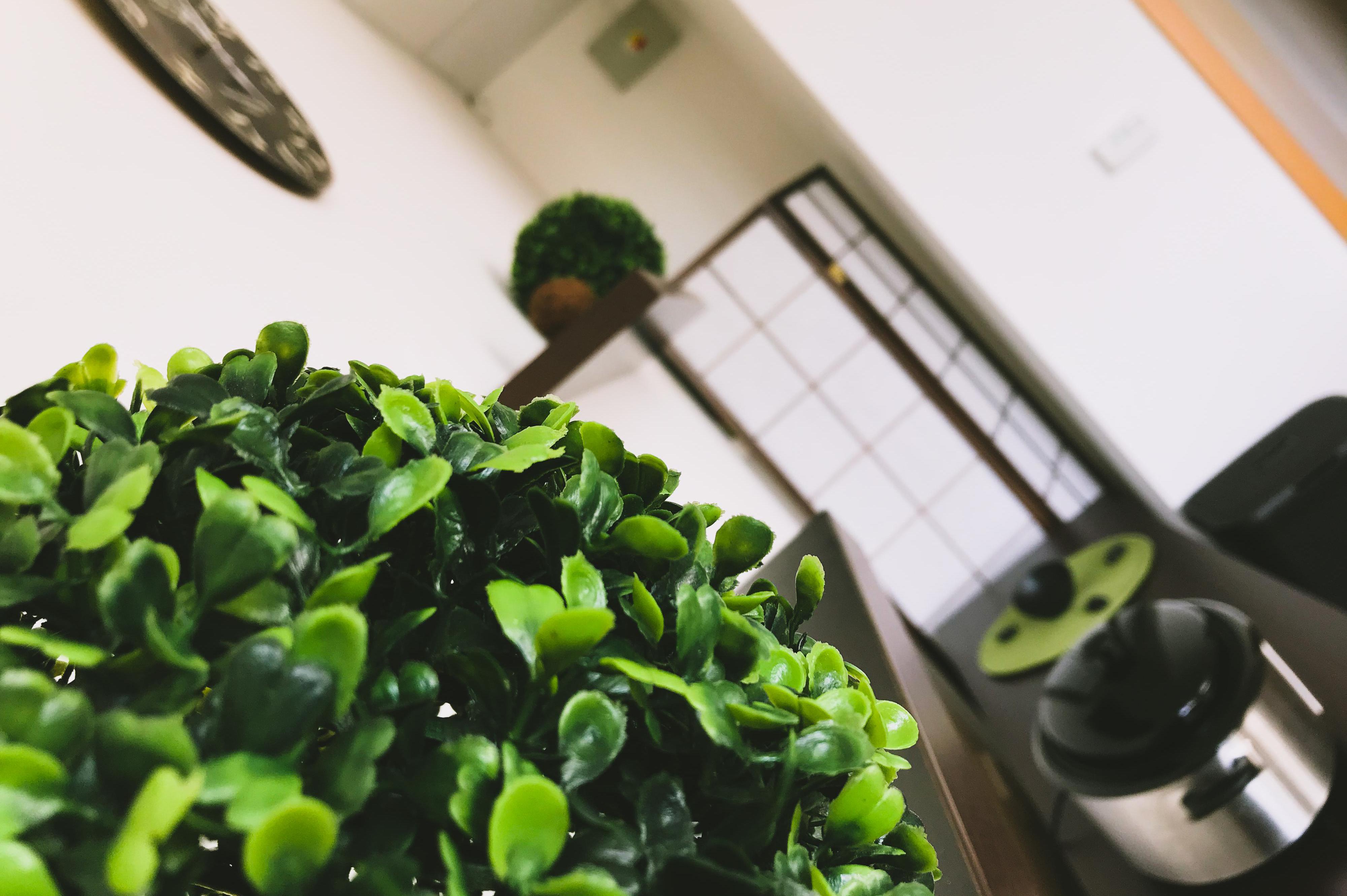 Masážní salón Adelaid