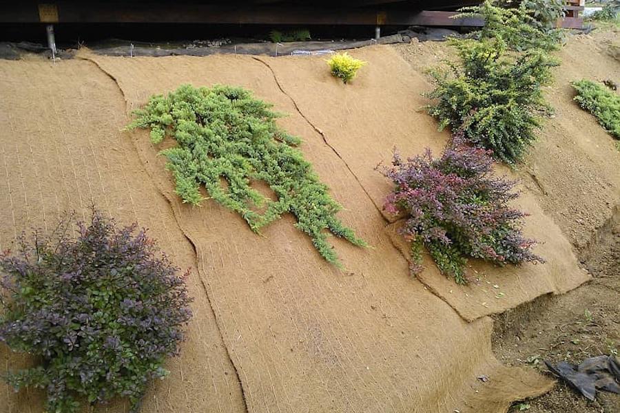 Protierozní ochrana