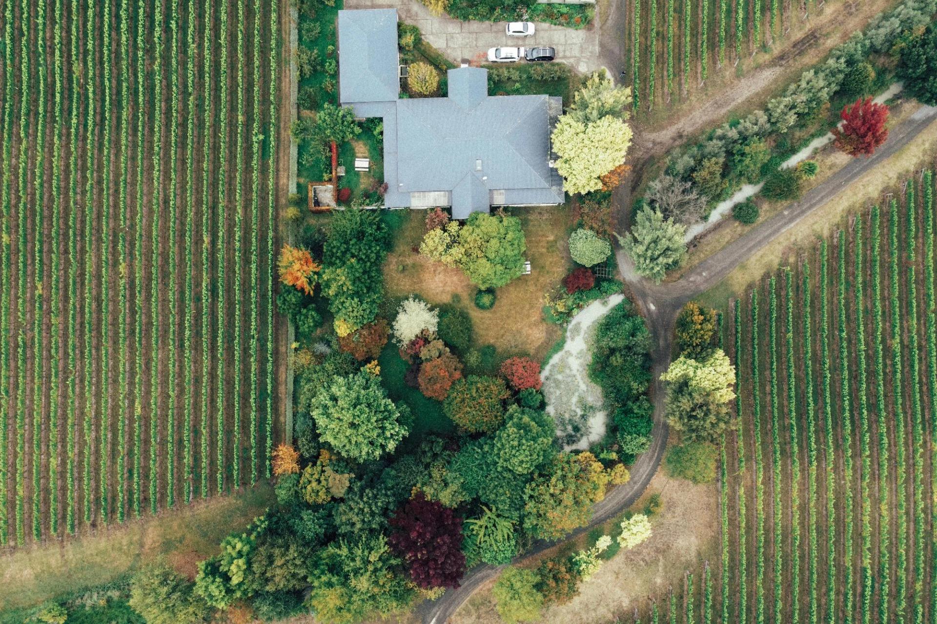 DUMZ, Projektování pozemních staveb