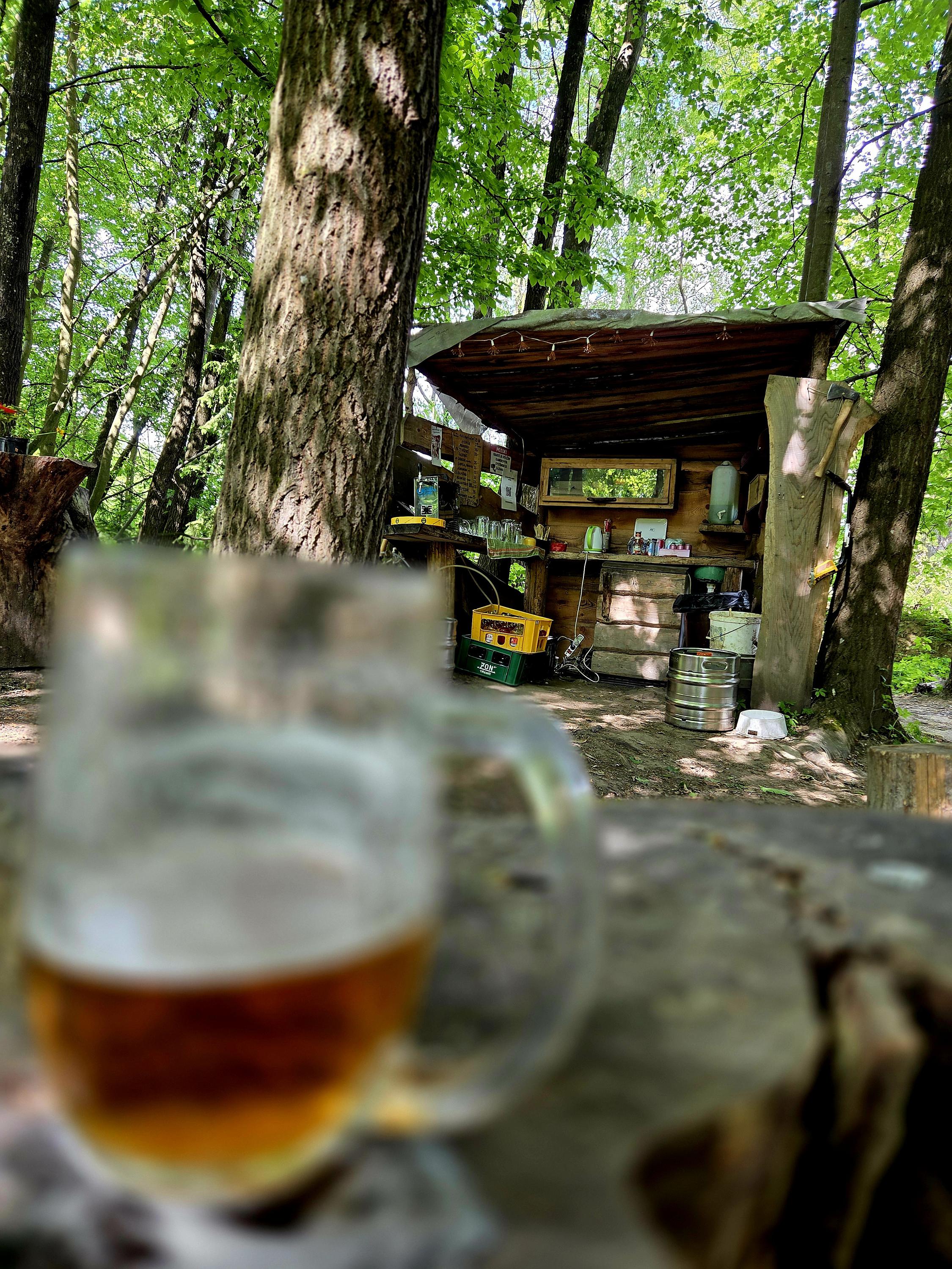 Lesní bar Pohodlí foto 3