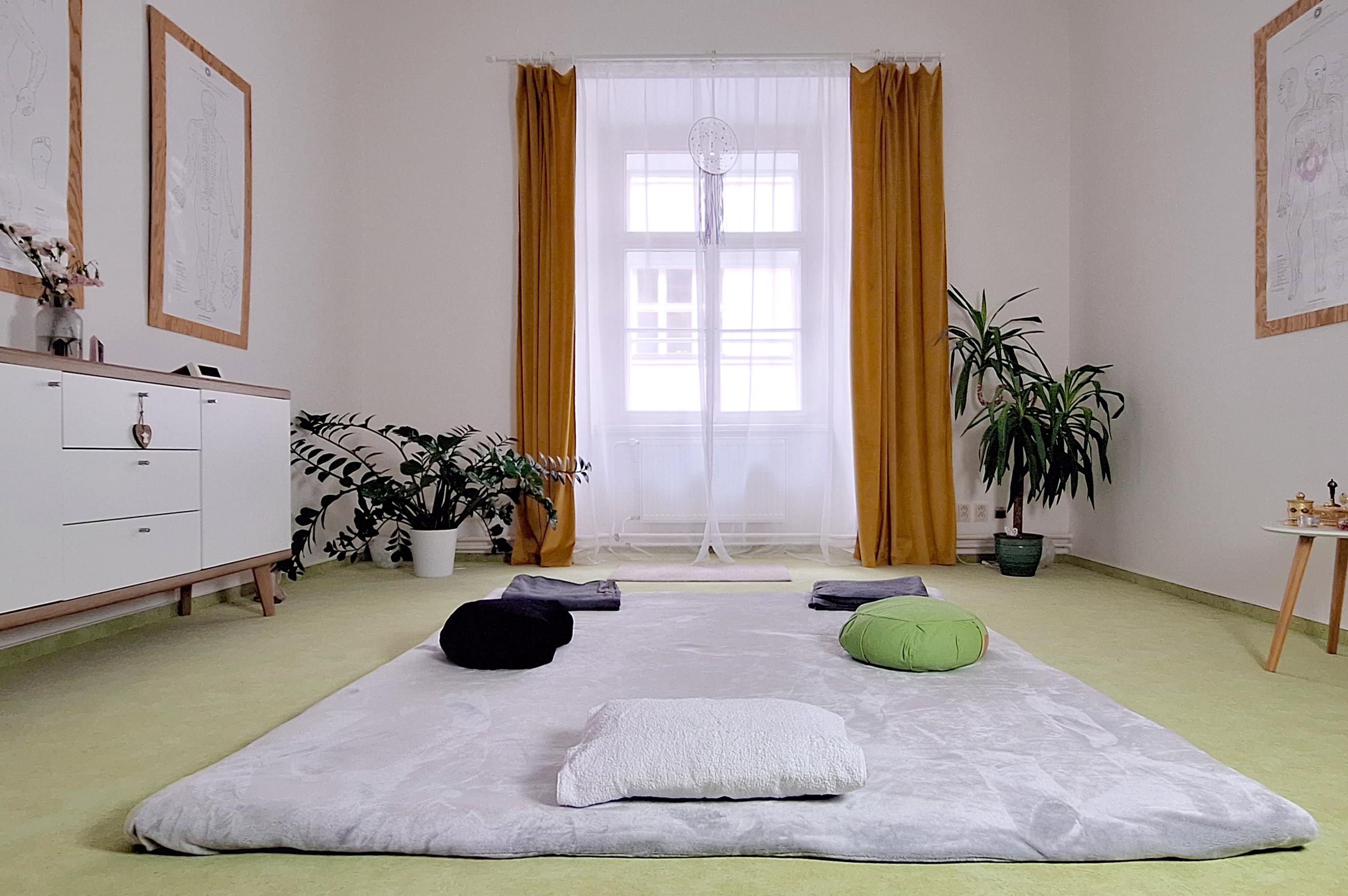 Shiatsu - Věra Barnová