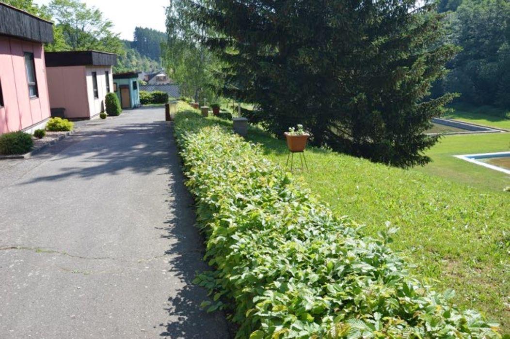 Kemp Radeč foto 2