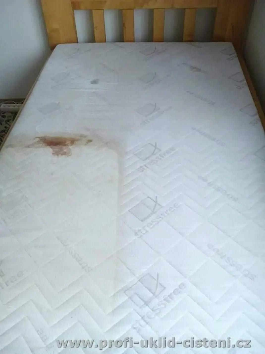 Bittner Profi-Úklid-Čištění foto 3