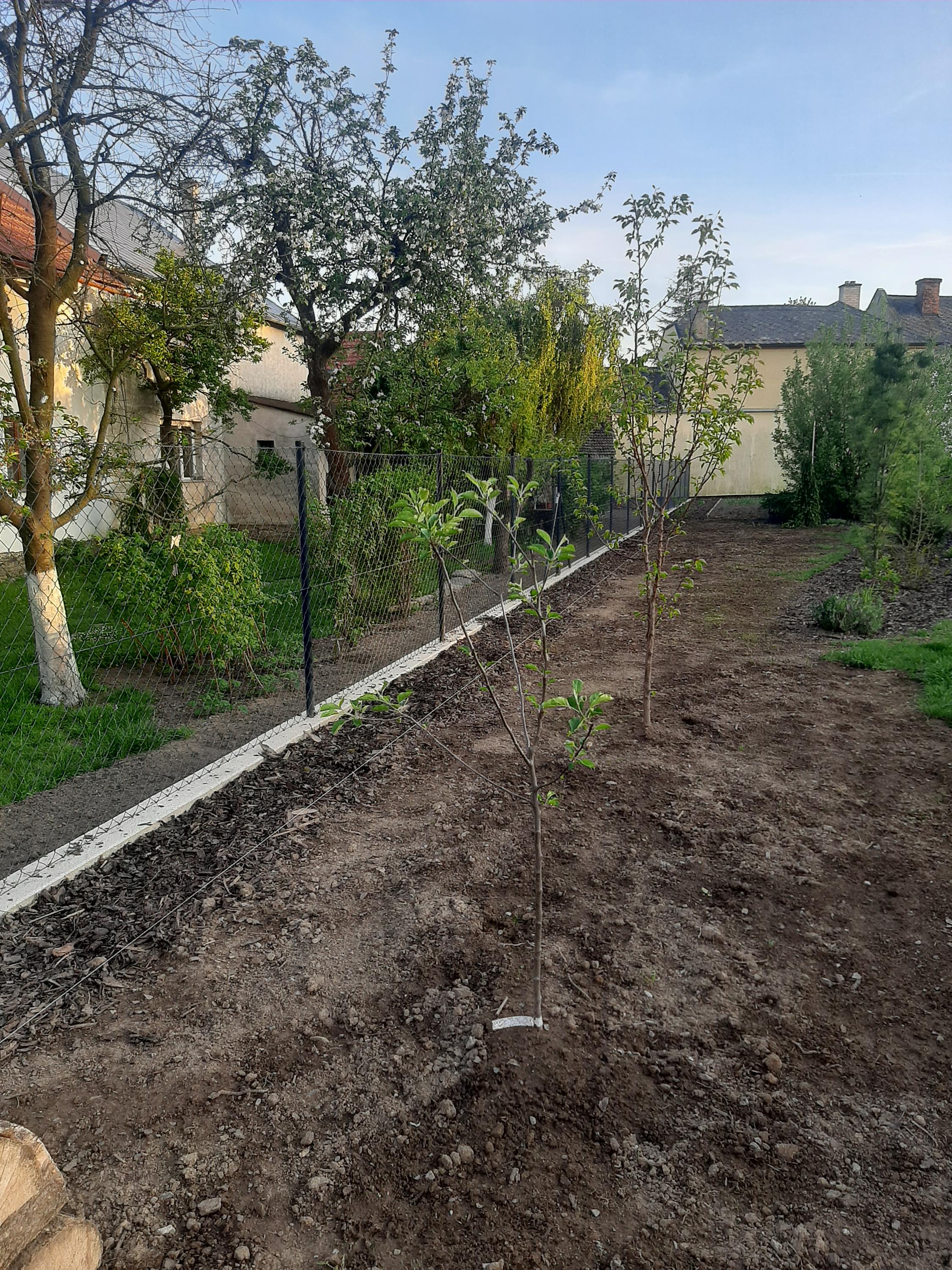 Lukáš Němec - Autodoprava, zemní a výkopové práce foto 6