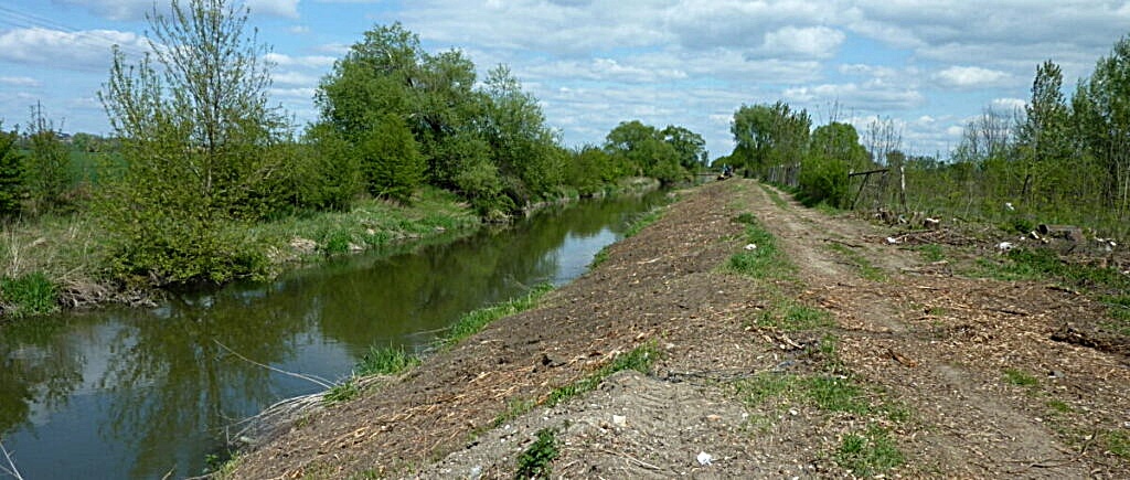 FDS ARBO služby s.r.o. foto 2
