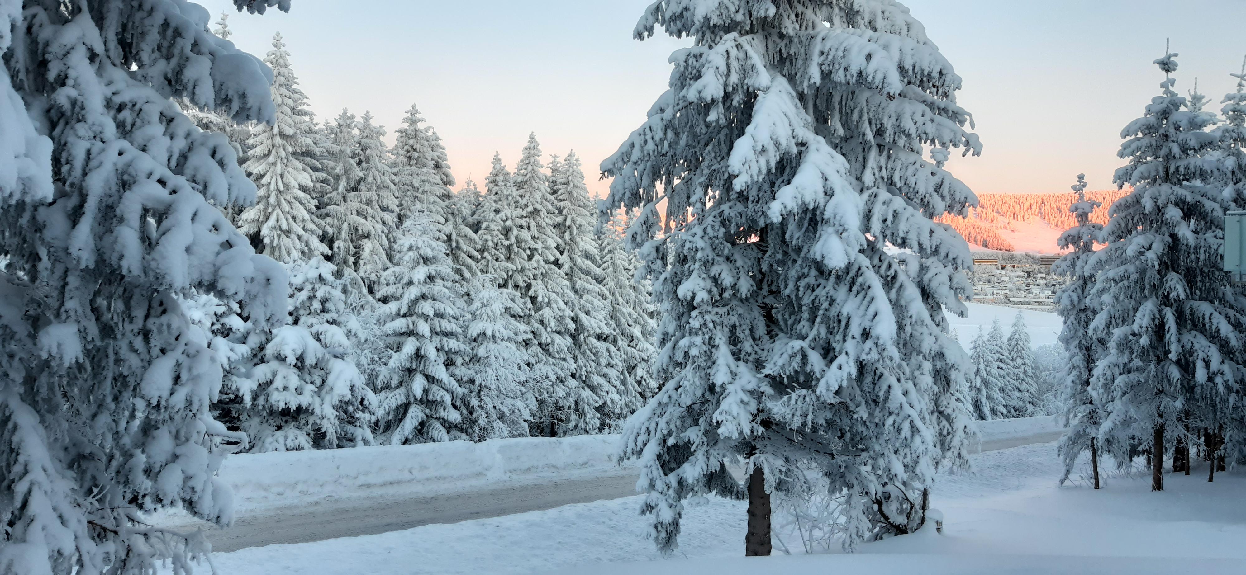 RYVR Real Estate s.r.o. foto 2