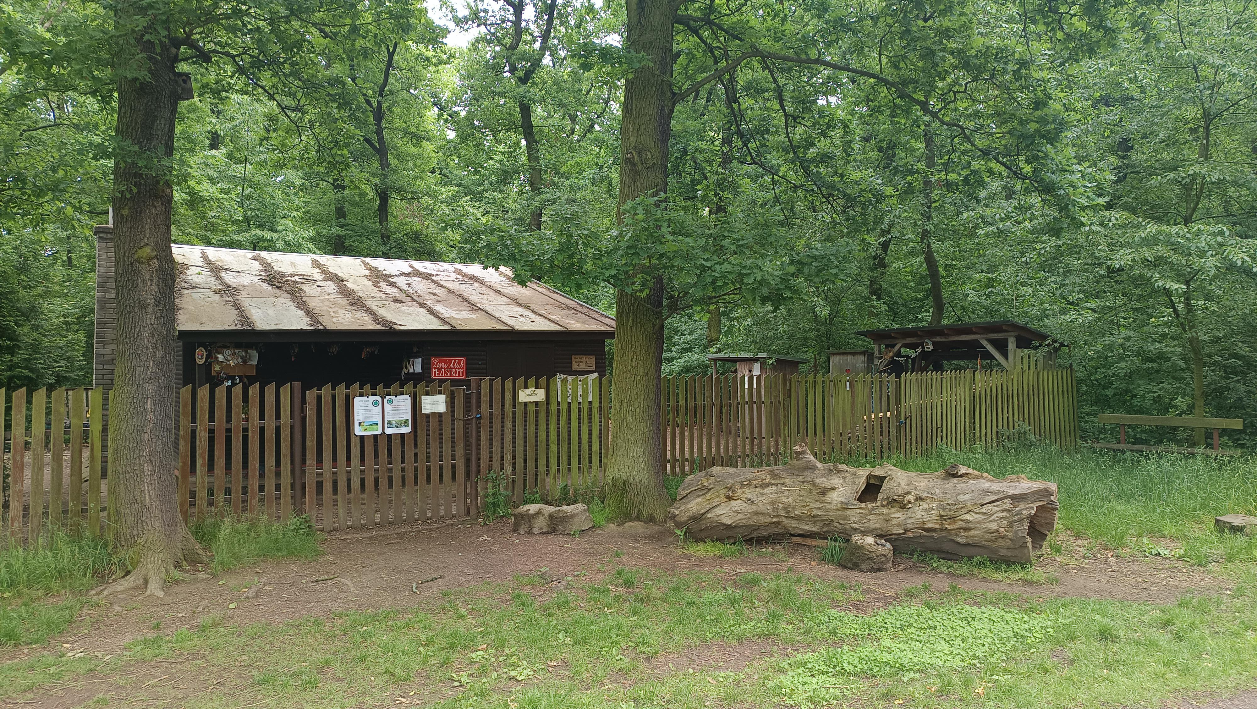 spolek zapsaný MEZI STROMY foto 6