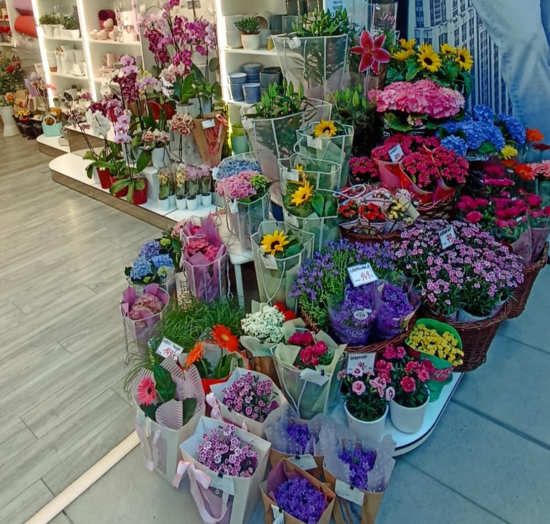 Květiny Novák foto 2