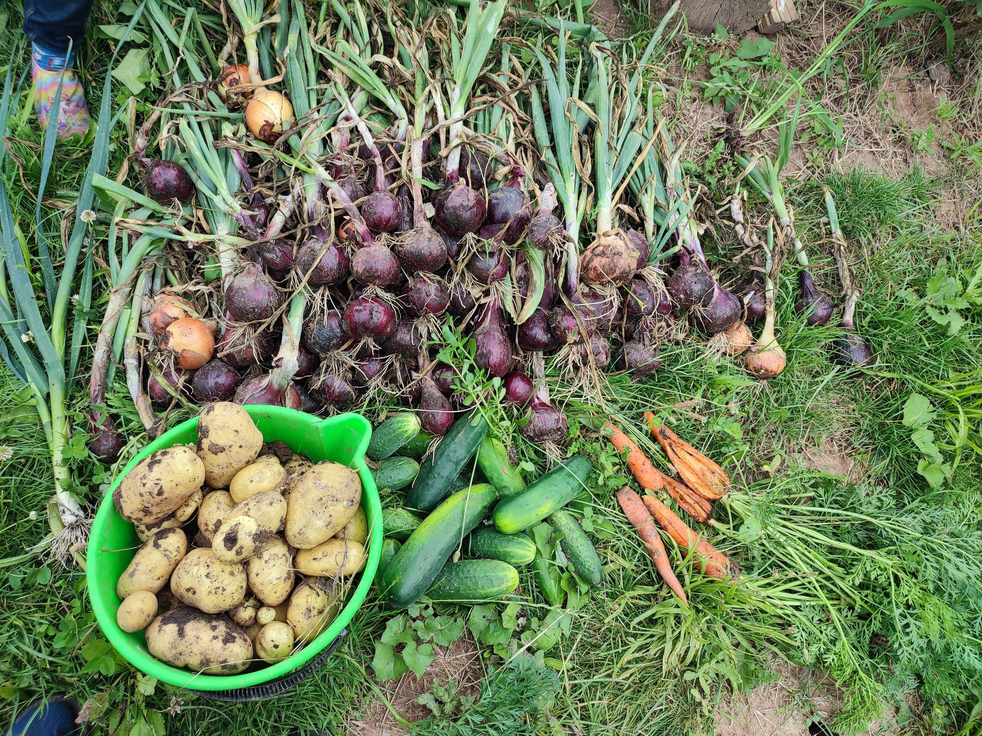 Přírodní zahrada Lila foto 5