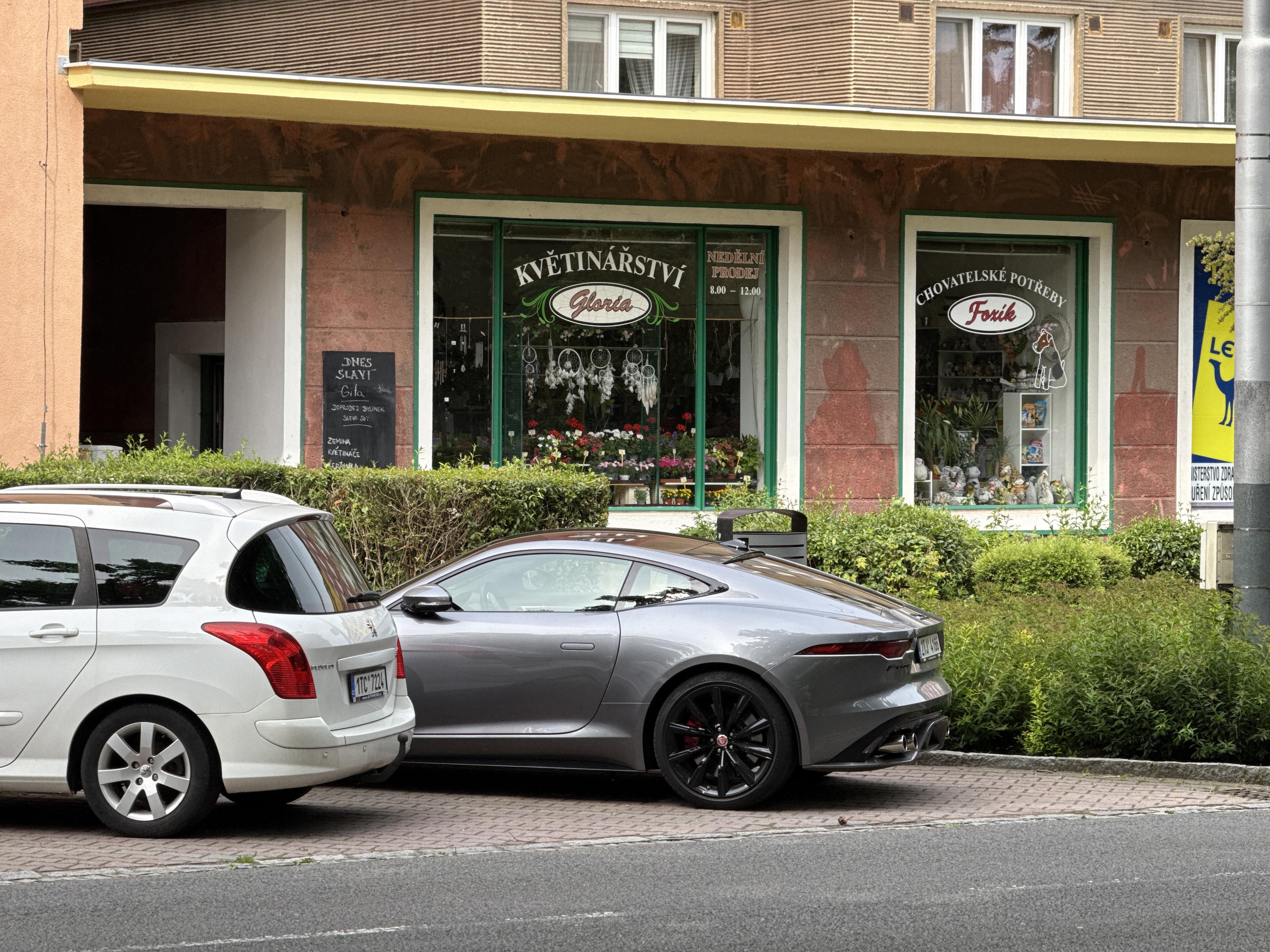 Květinářství Gloria foto 6