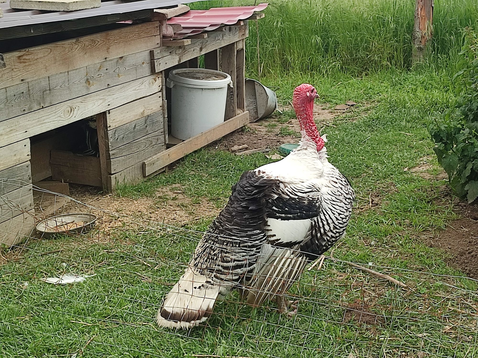 Přírodní zahrada Lila foto 1