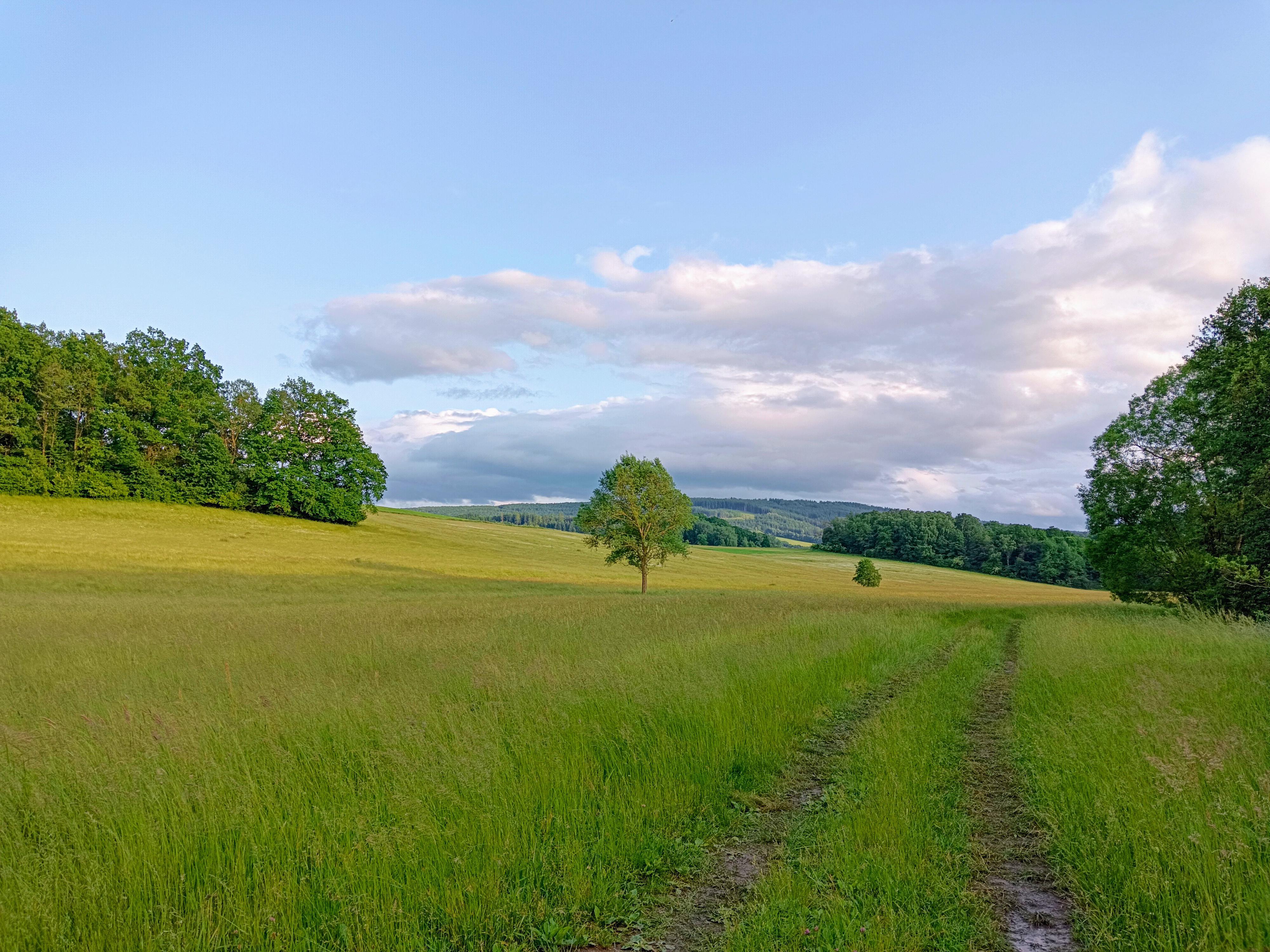 Penzion St. Leonhard*** foto 5