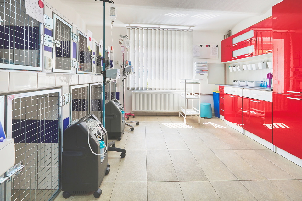 Veterinární ordinace Klatovy, s.r.o. foto 3