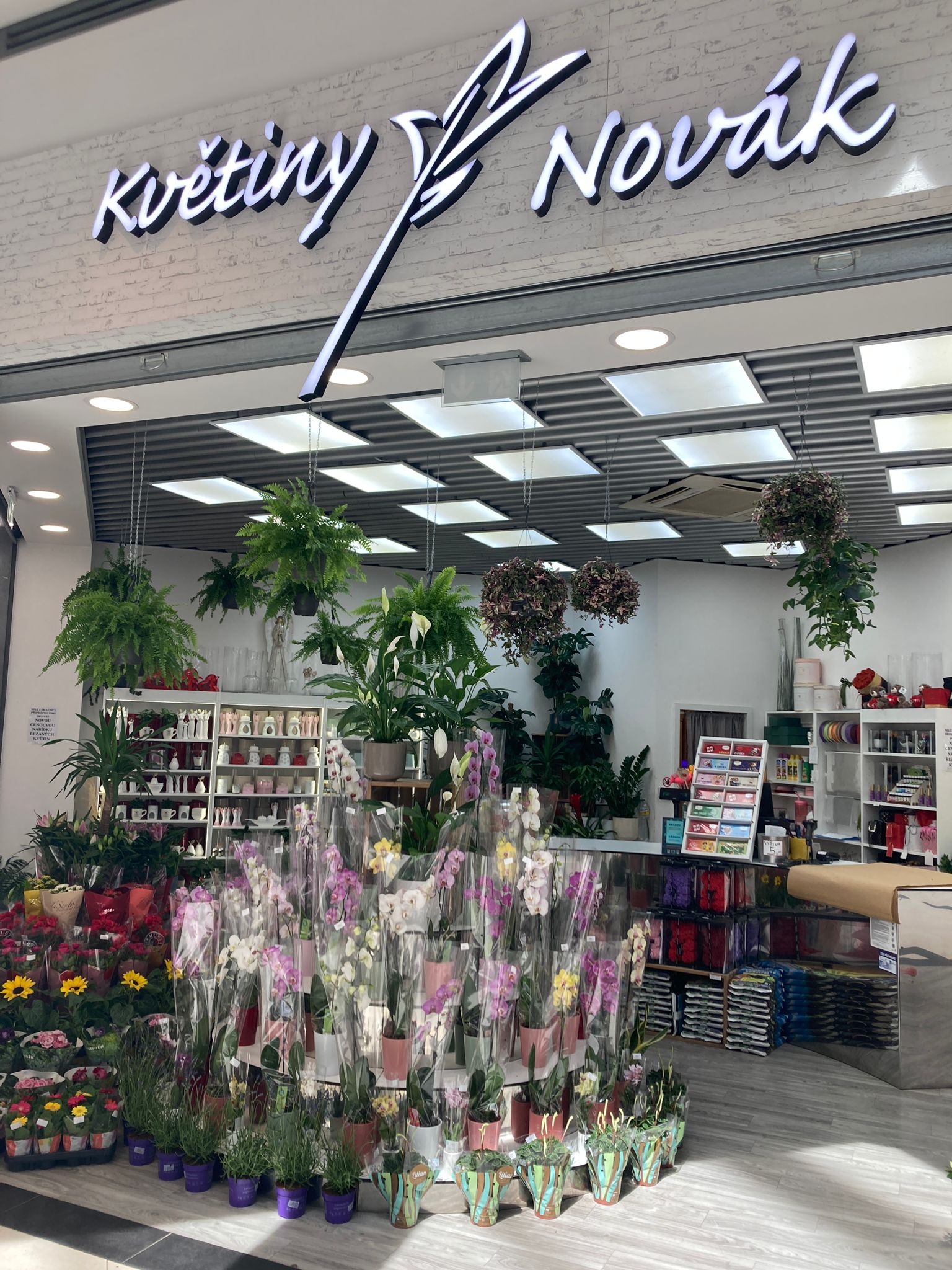 Květiny Novák foto 4