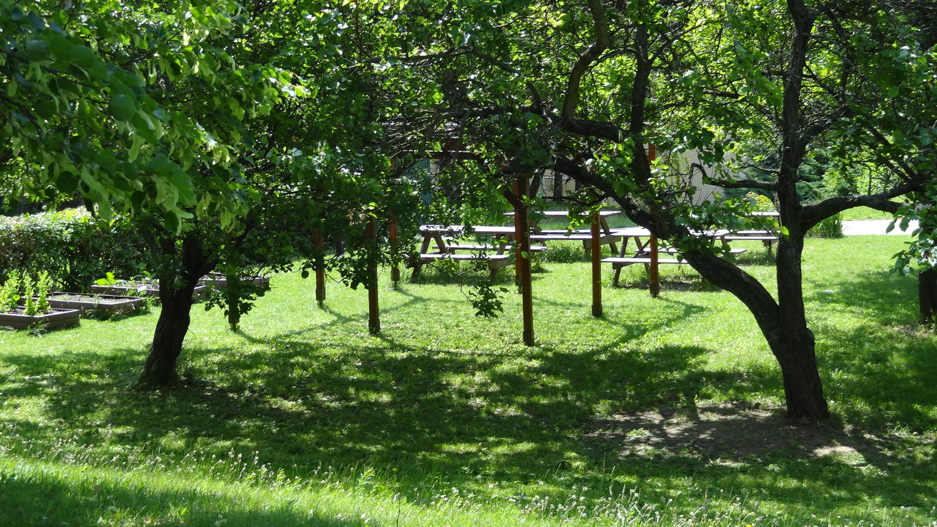 Základní škola, Brno, Mutěnická 23 foto 5