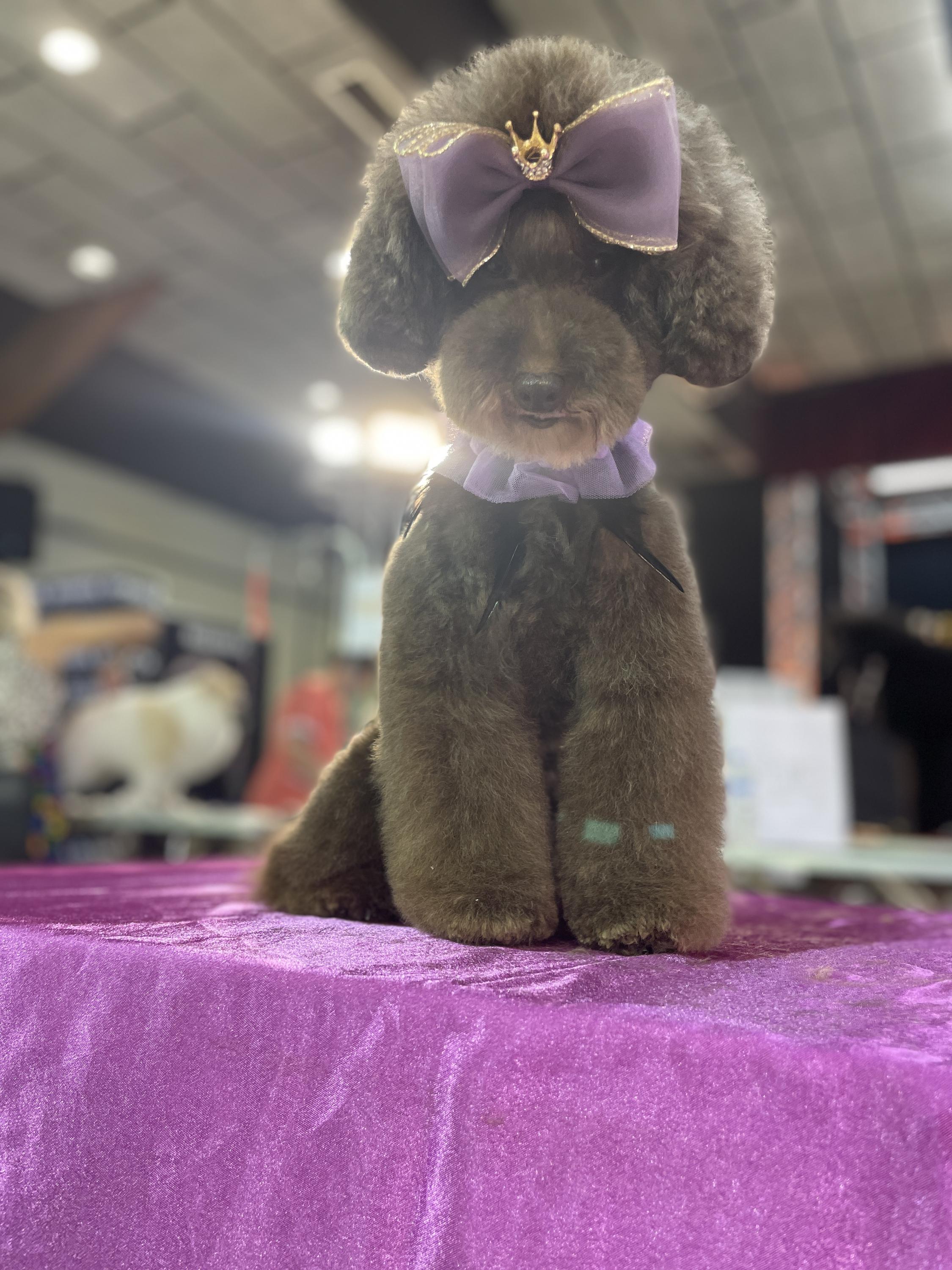 Lucie Šindler Motejzíková foto 1