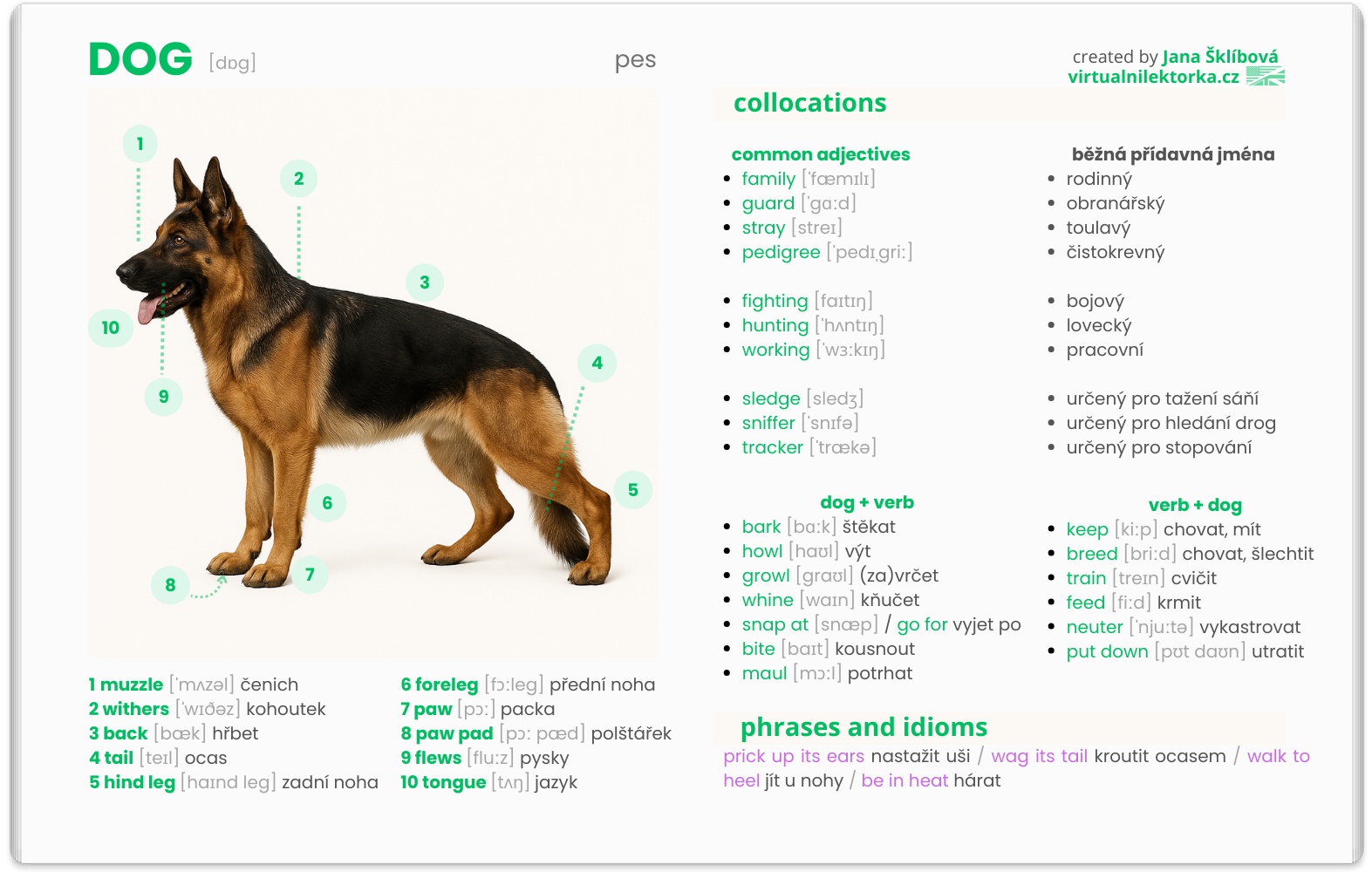 Jana Šklíbová - virtuální lektorka angličtiny foto 1