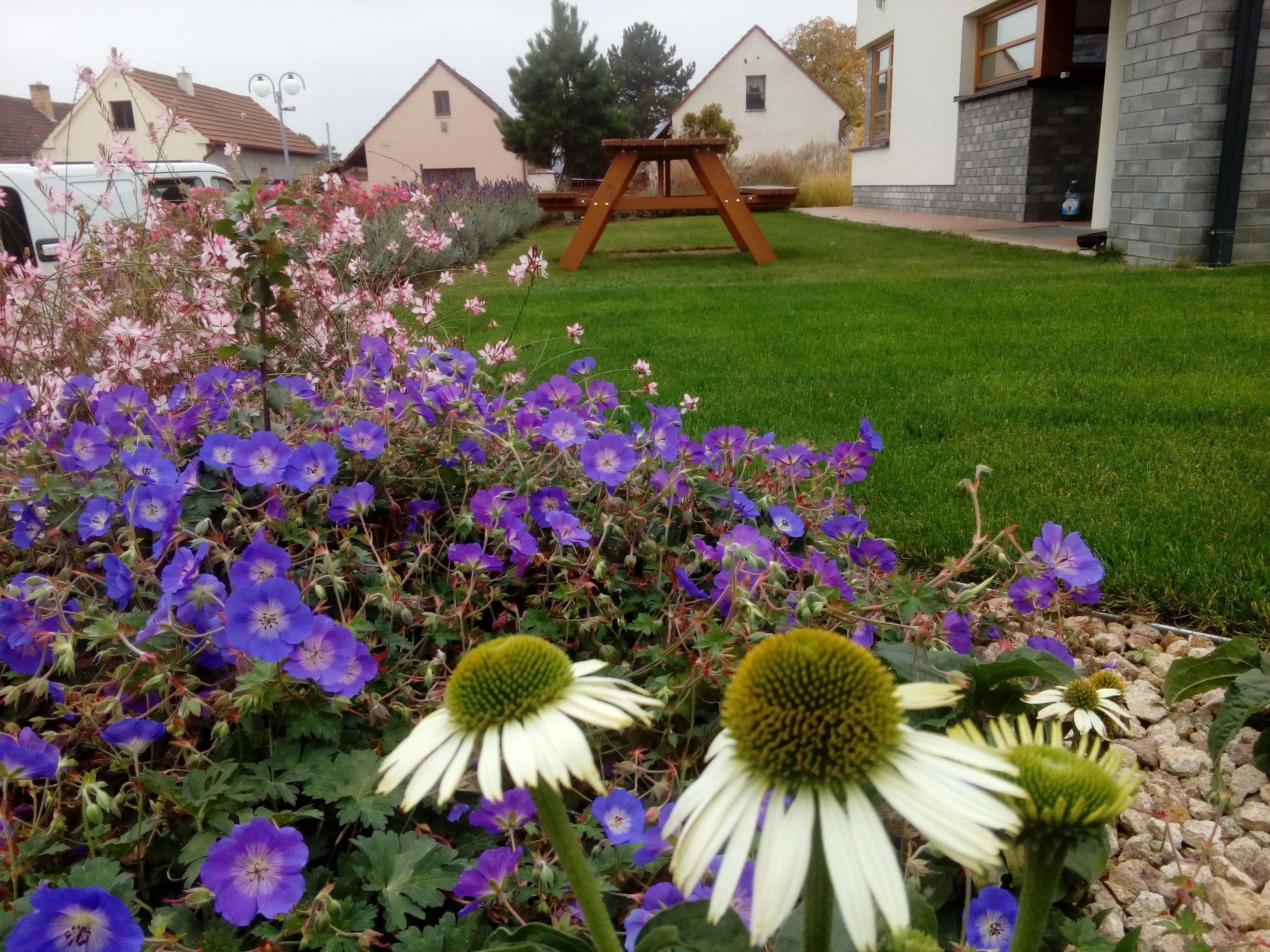 MĚLNICKÁ ZELEŇ, s.r.o. foto 2