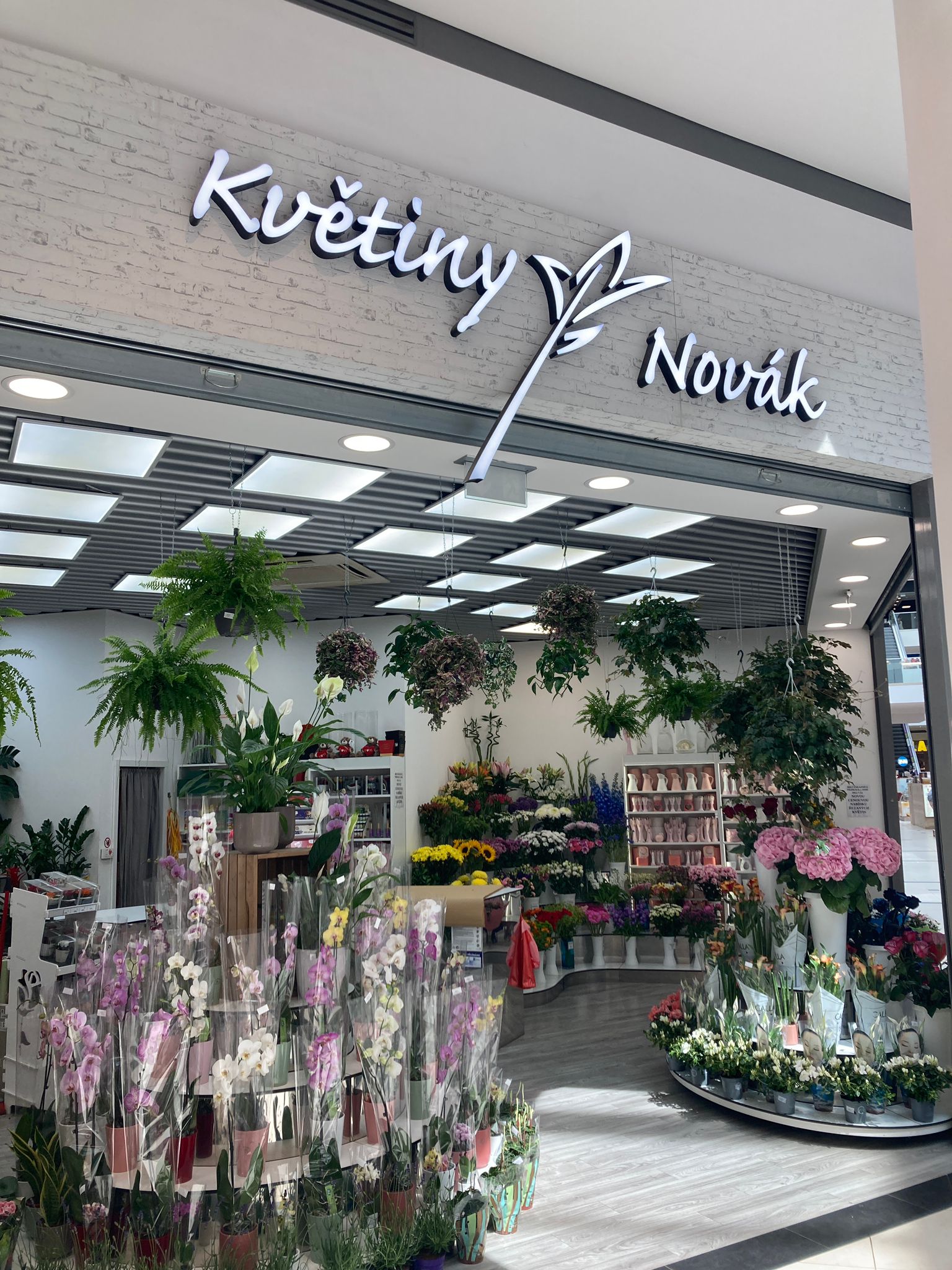 Květiny Novák foto 3