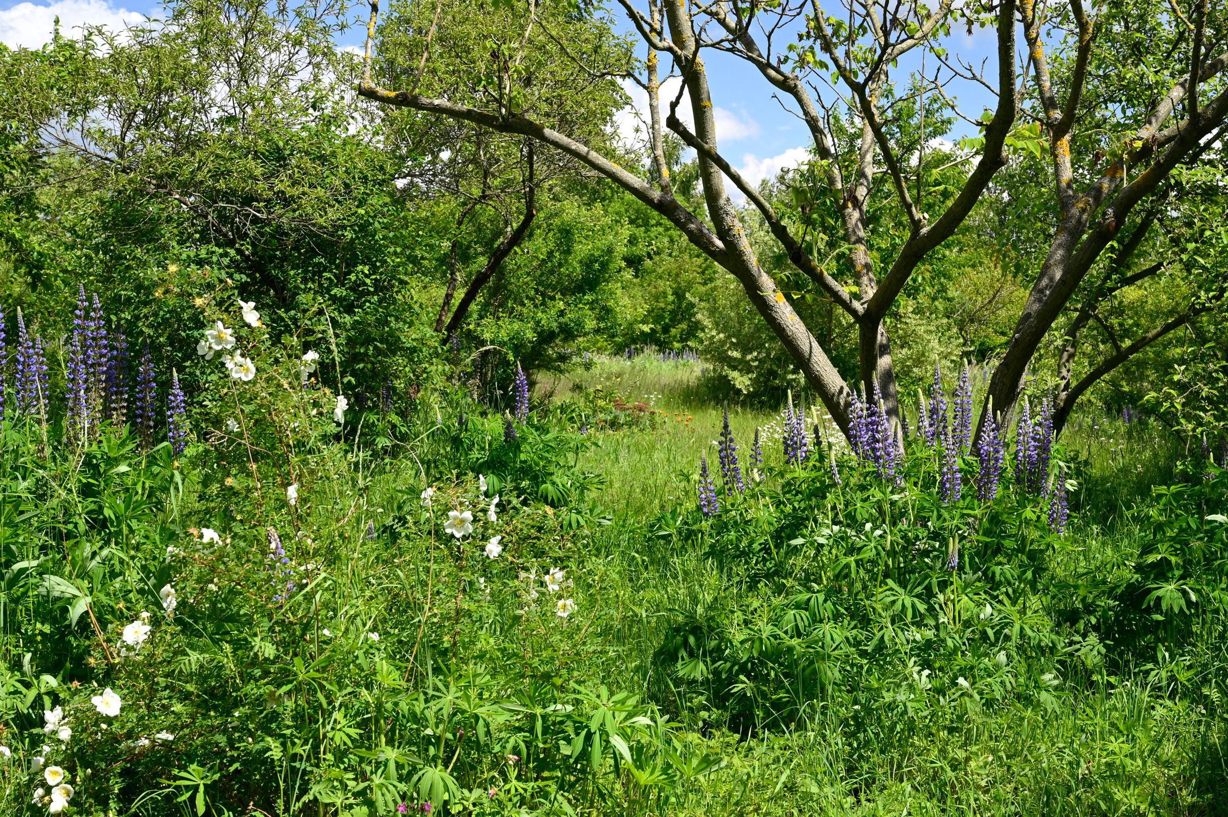 Ekozahrady Jaroslav Svoboda