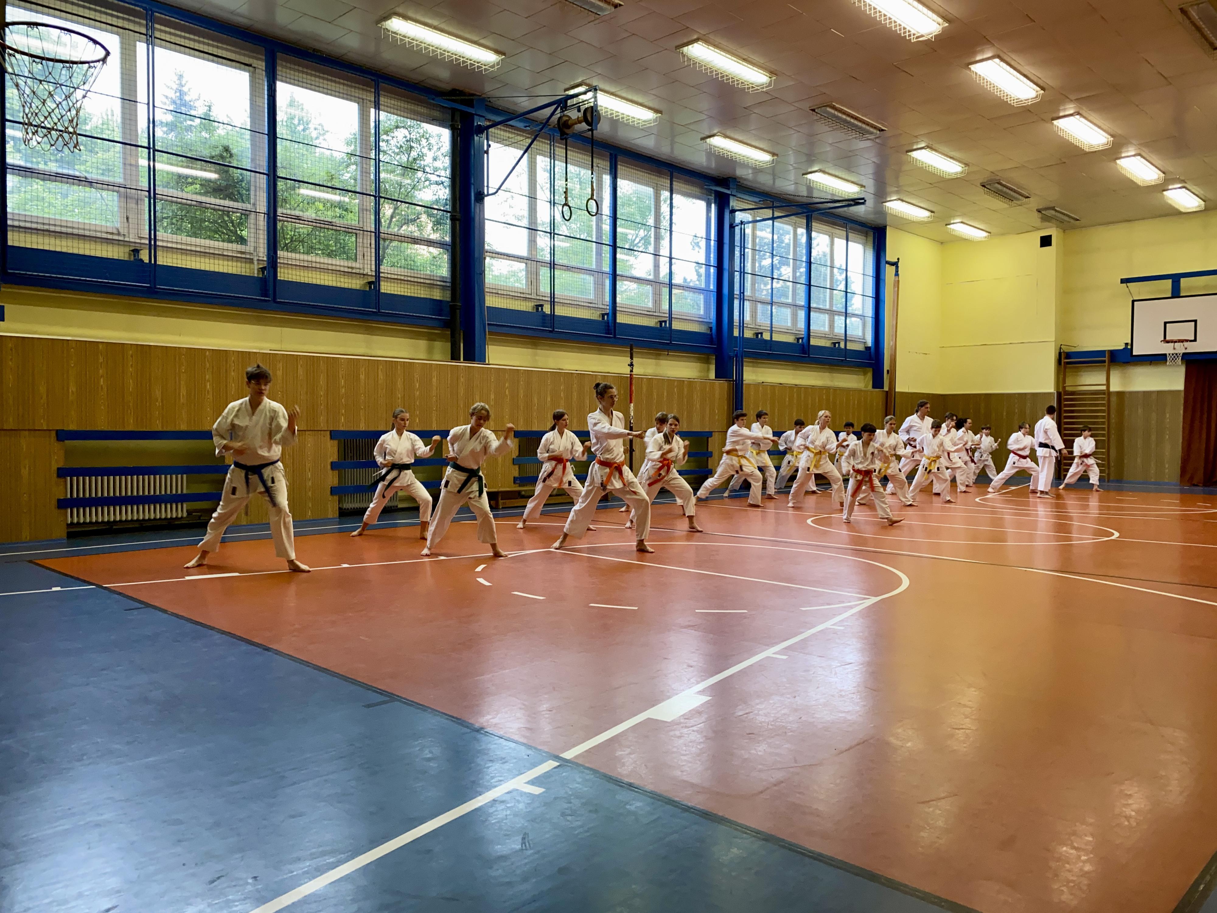 Sakura Žatec foto 5