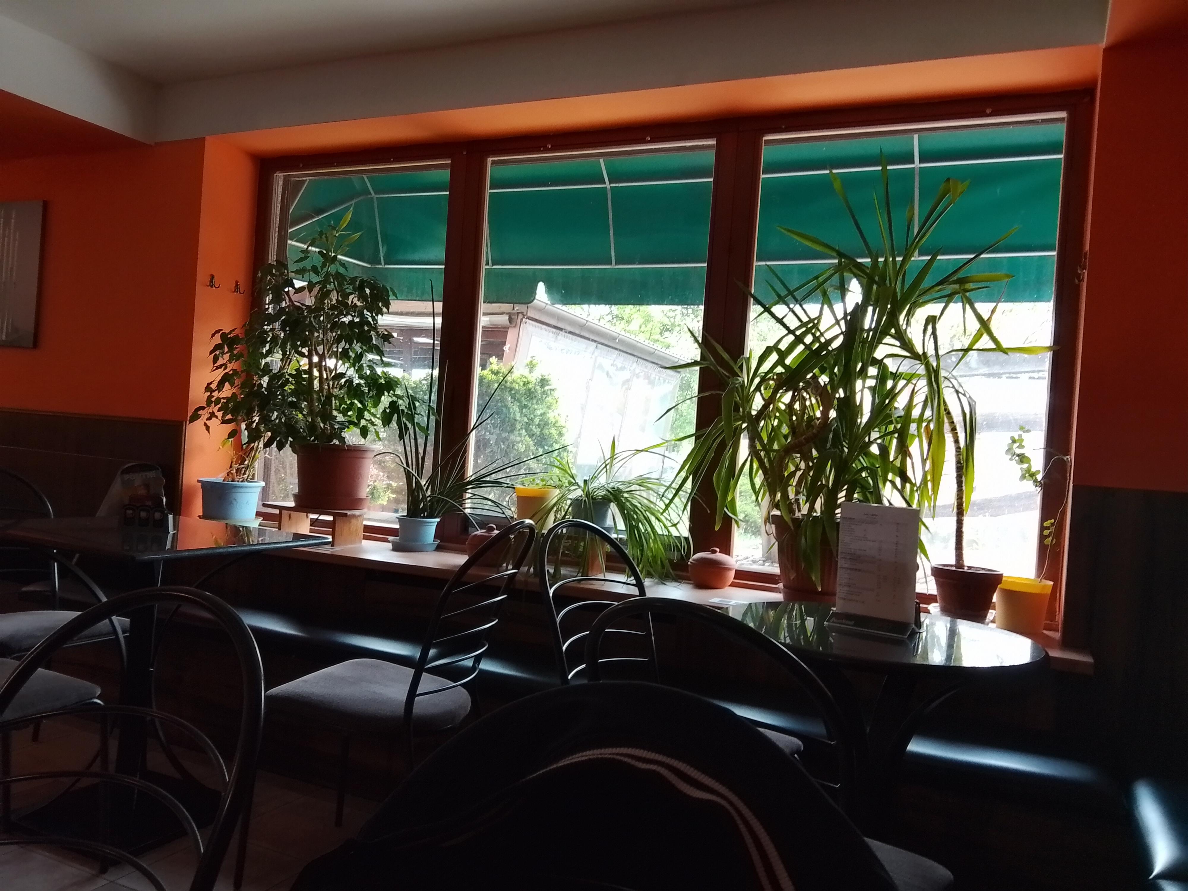 Kafe U Krtka foto 6