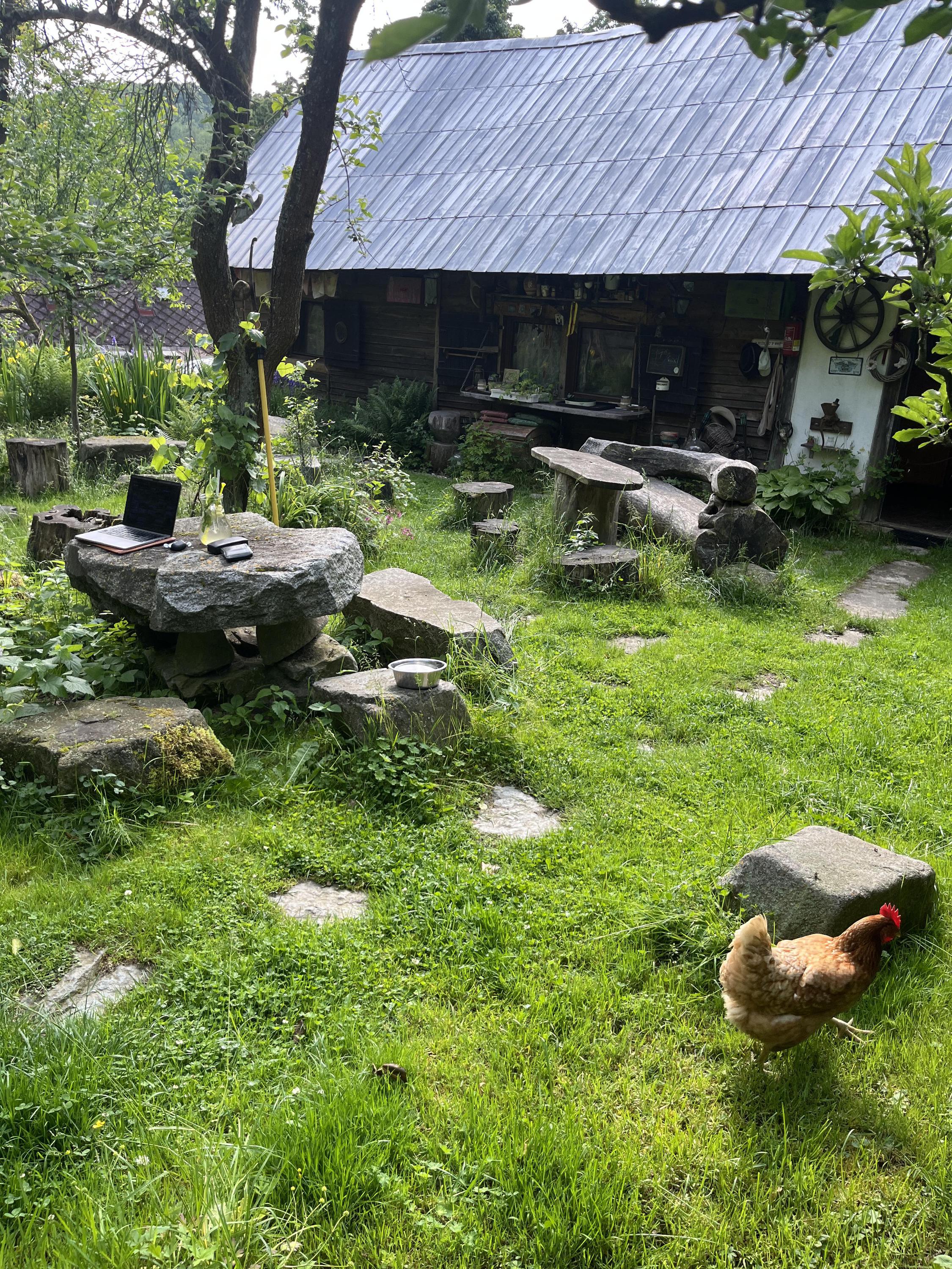 Klub přátel čaje, knih a všeho foto 2