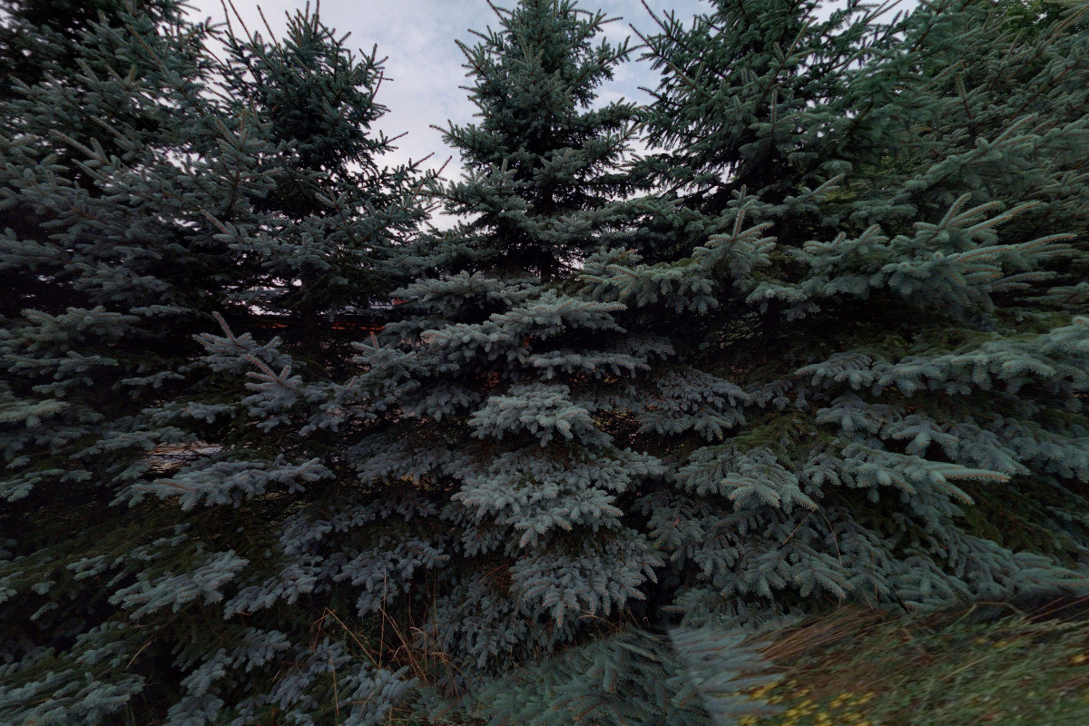 Zemní práce Jaromír Vrkoslav foto 4