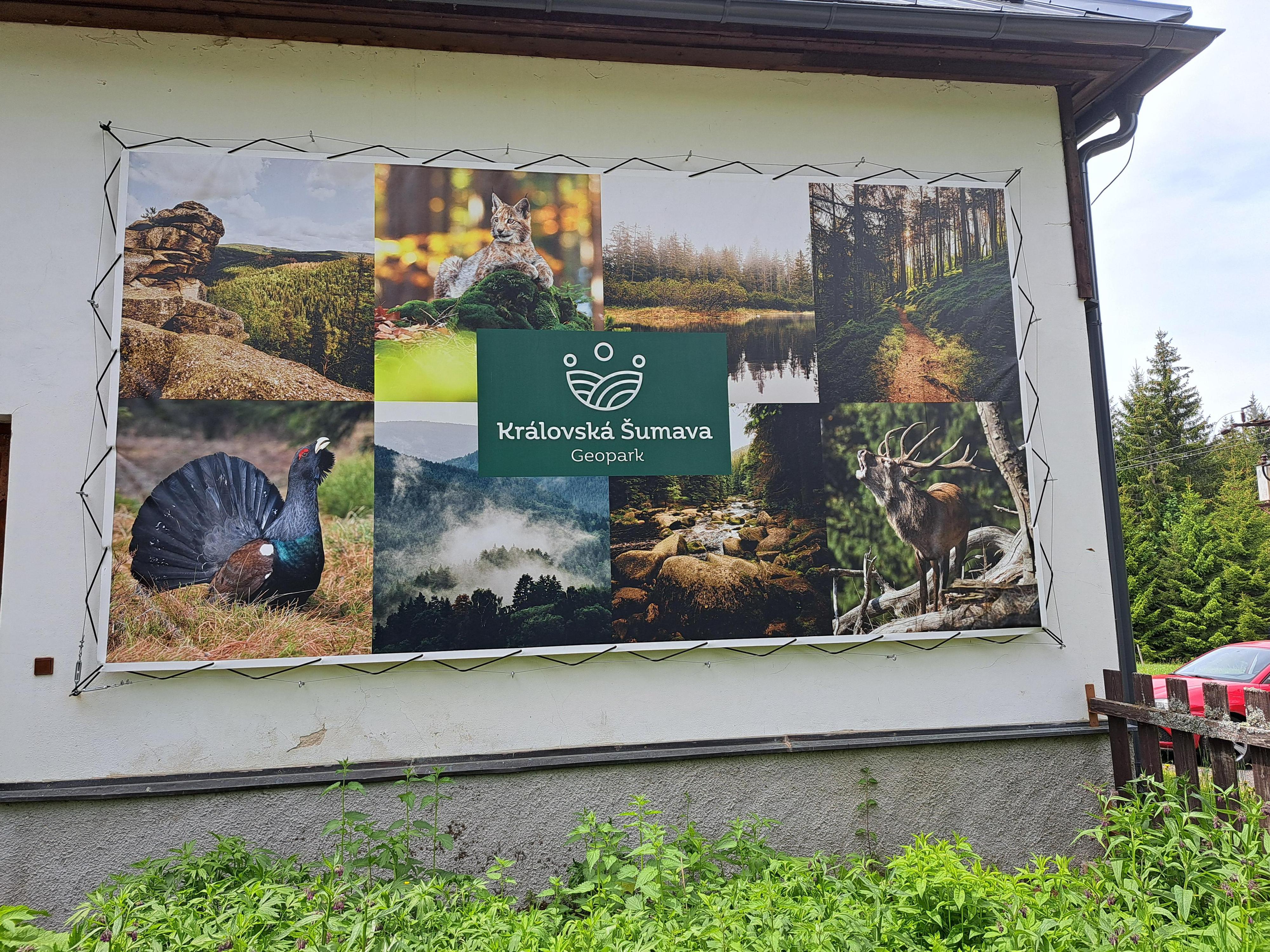 Ubytování Rokyta foto 6