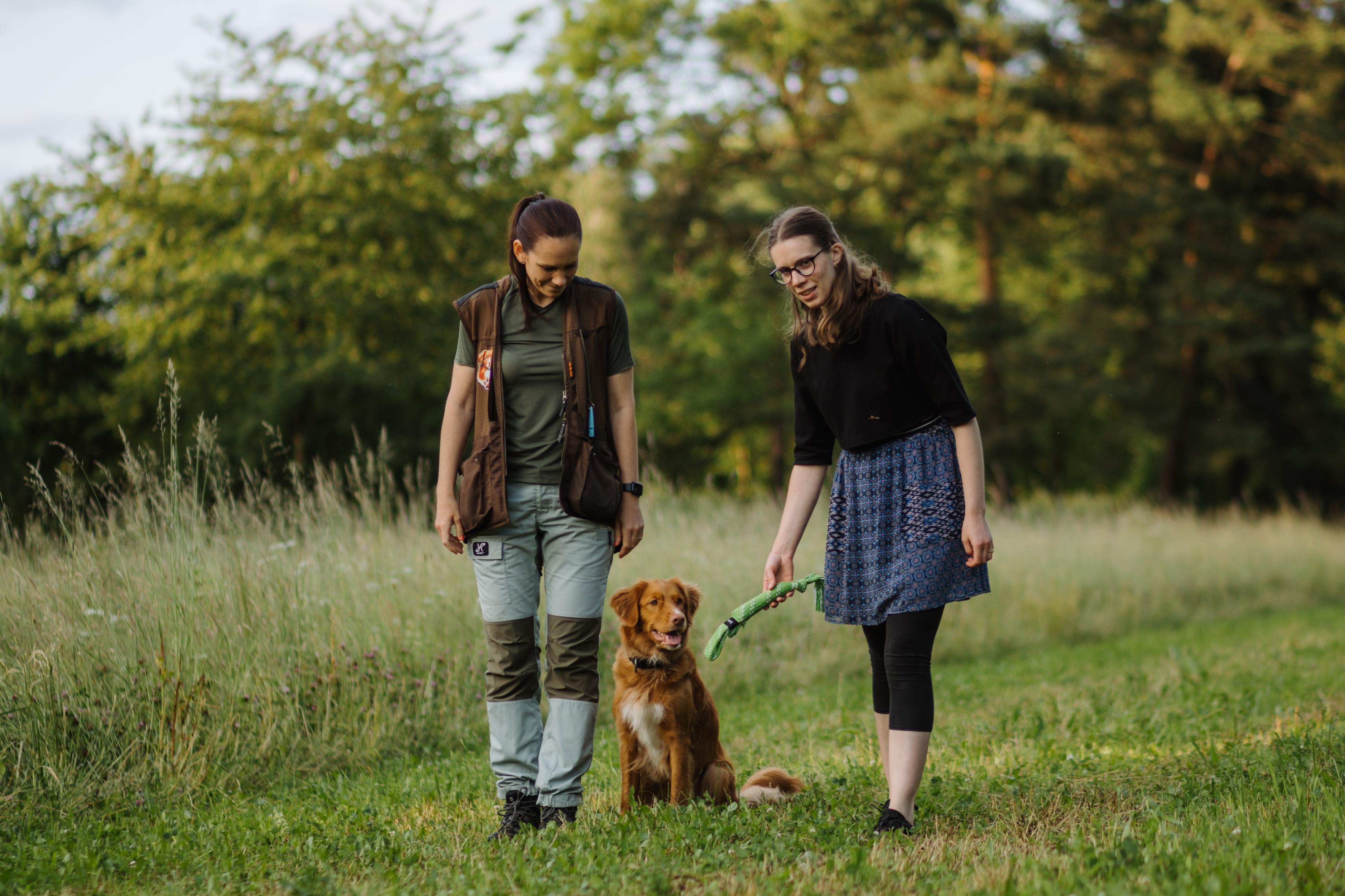 ASURIA - etický trénink psů foto 3