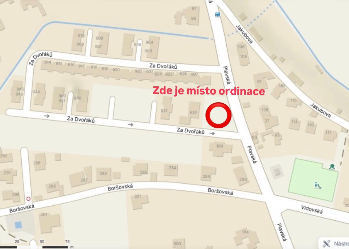 Dentální hygiena - Michaela Horáková, DiS foto 2