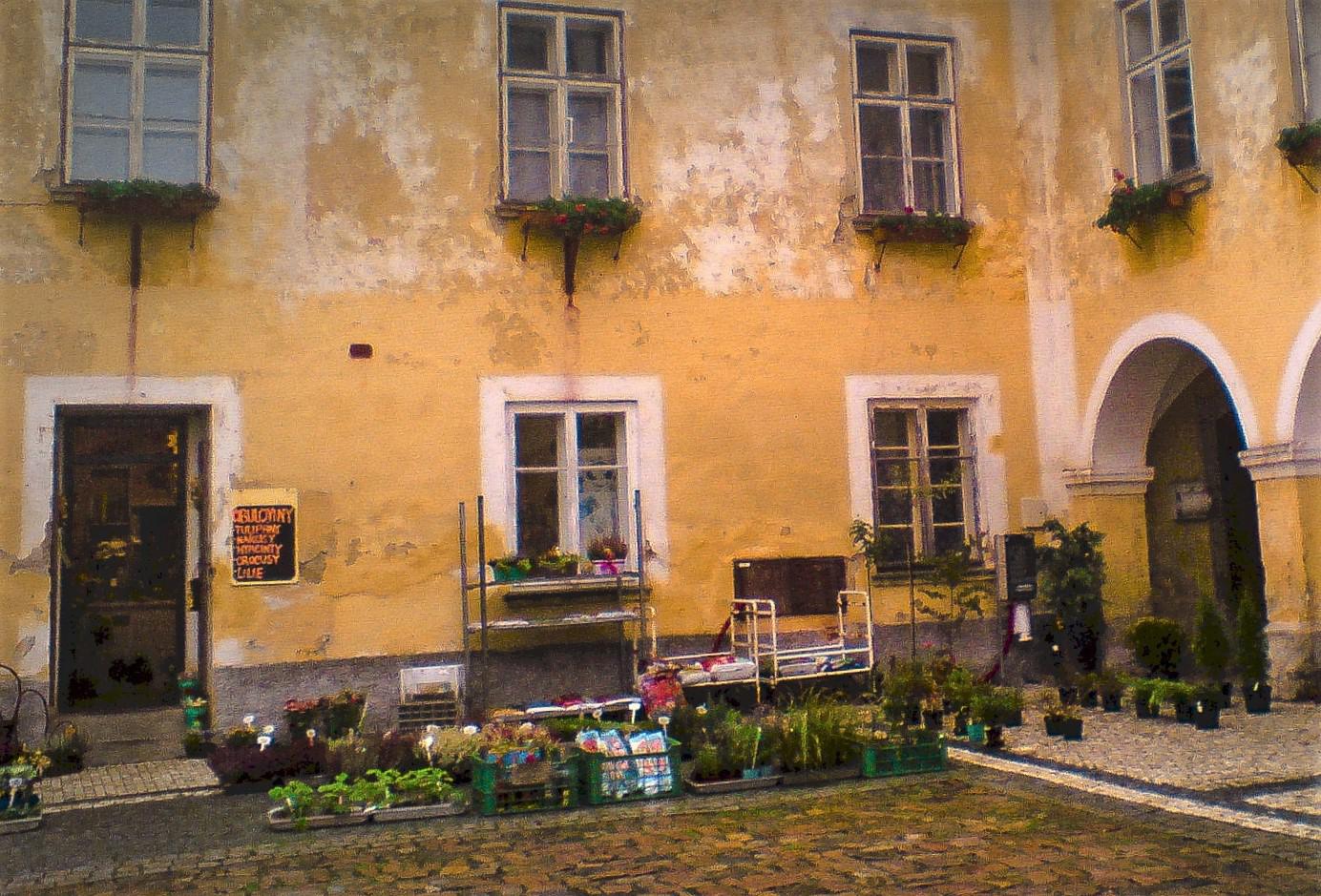 Květinářství Vlasta Čumová foto 3