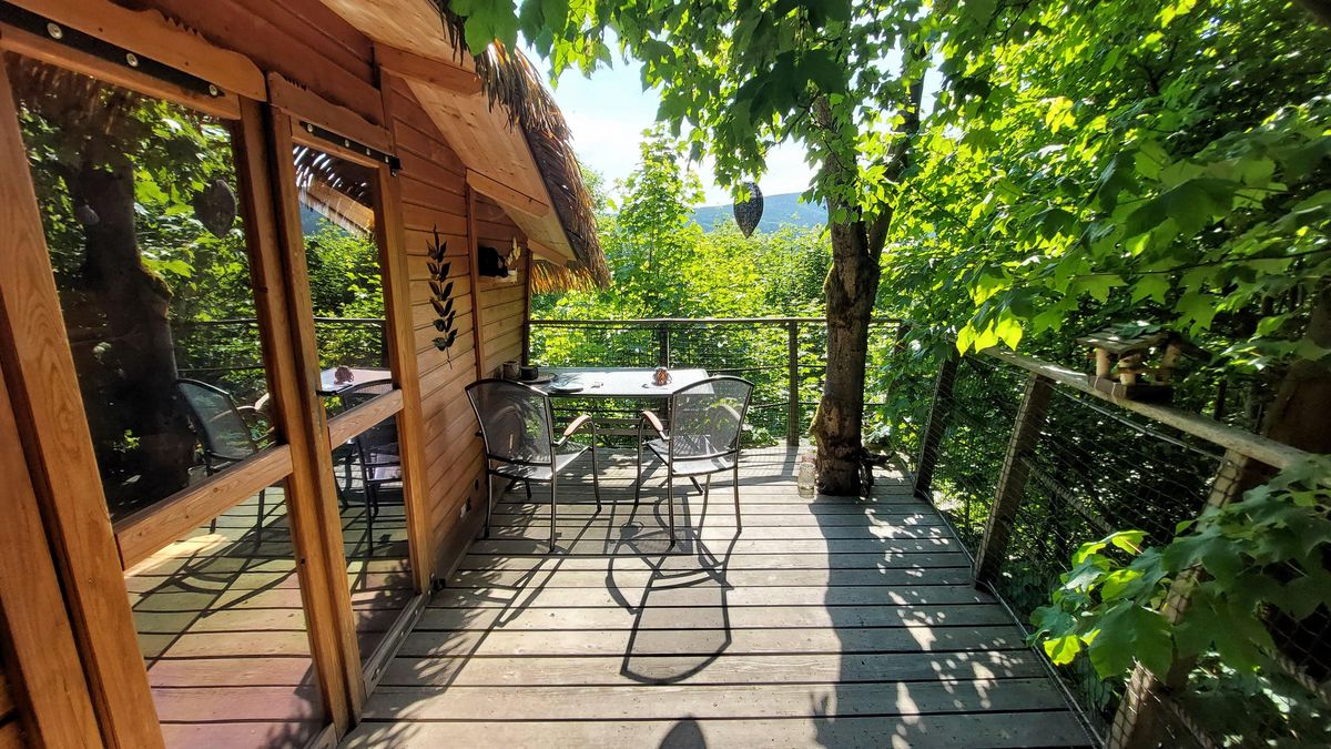 Treehouse Jested Treehouse Ještěd (Křižany) • Firmy.cz